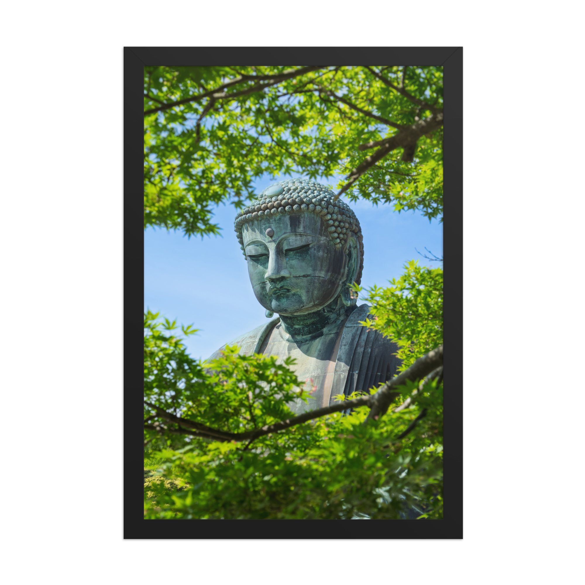 premium-luster-photo-paper-framed-poster-(in)-black-12x18-front-6a1d2093b7e0f.png