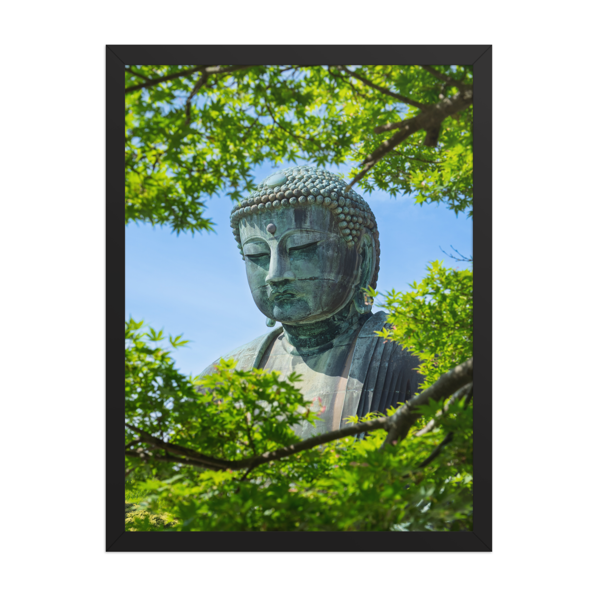 premium-luster-photo-paper-framed-poster-(in)-black-18x24-front-6a1d2093b80b3.png