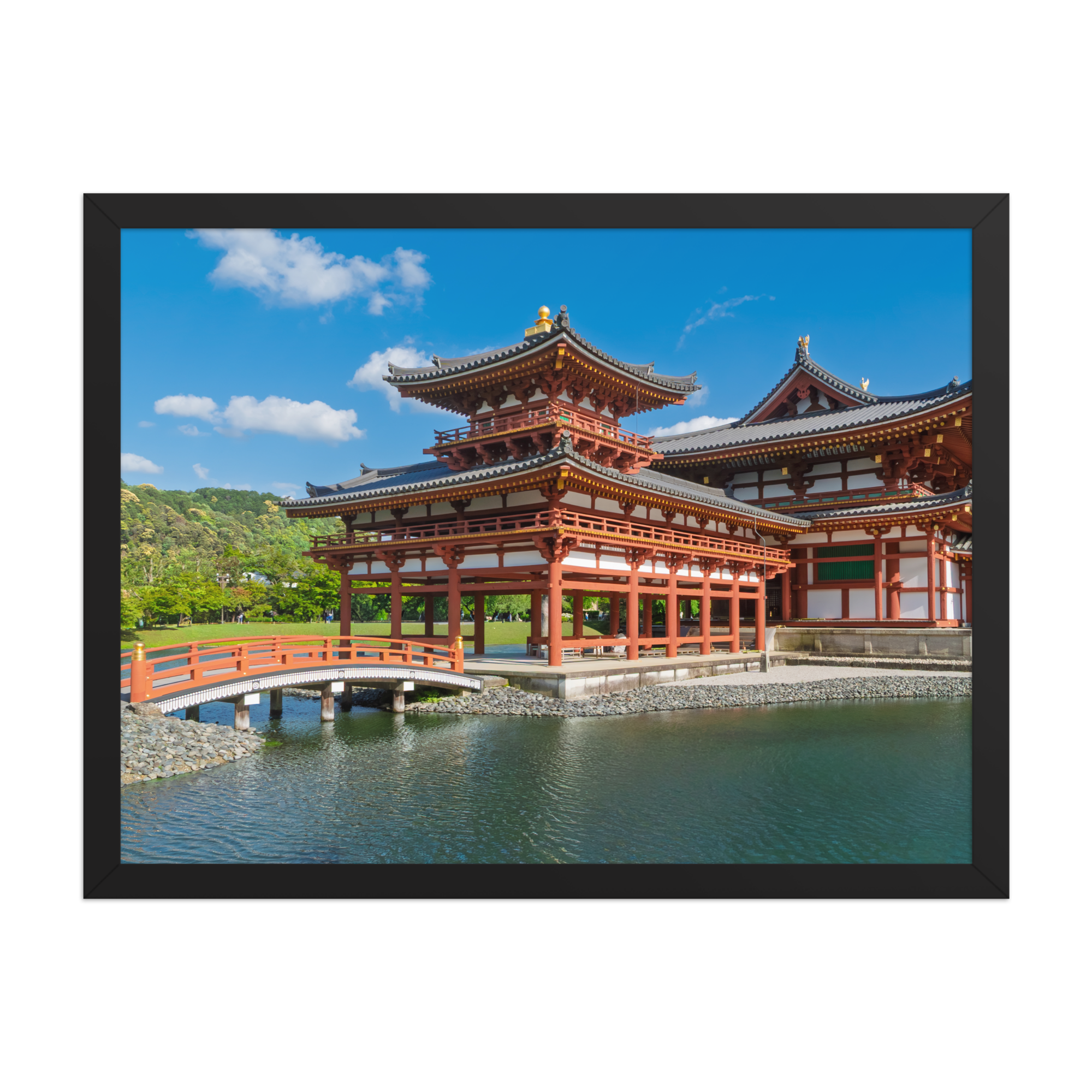 premium-luster-photo-paper-framed-poster-(in)-black-18x24-front-6a1db368272de.png