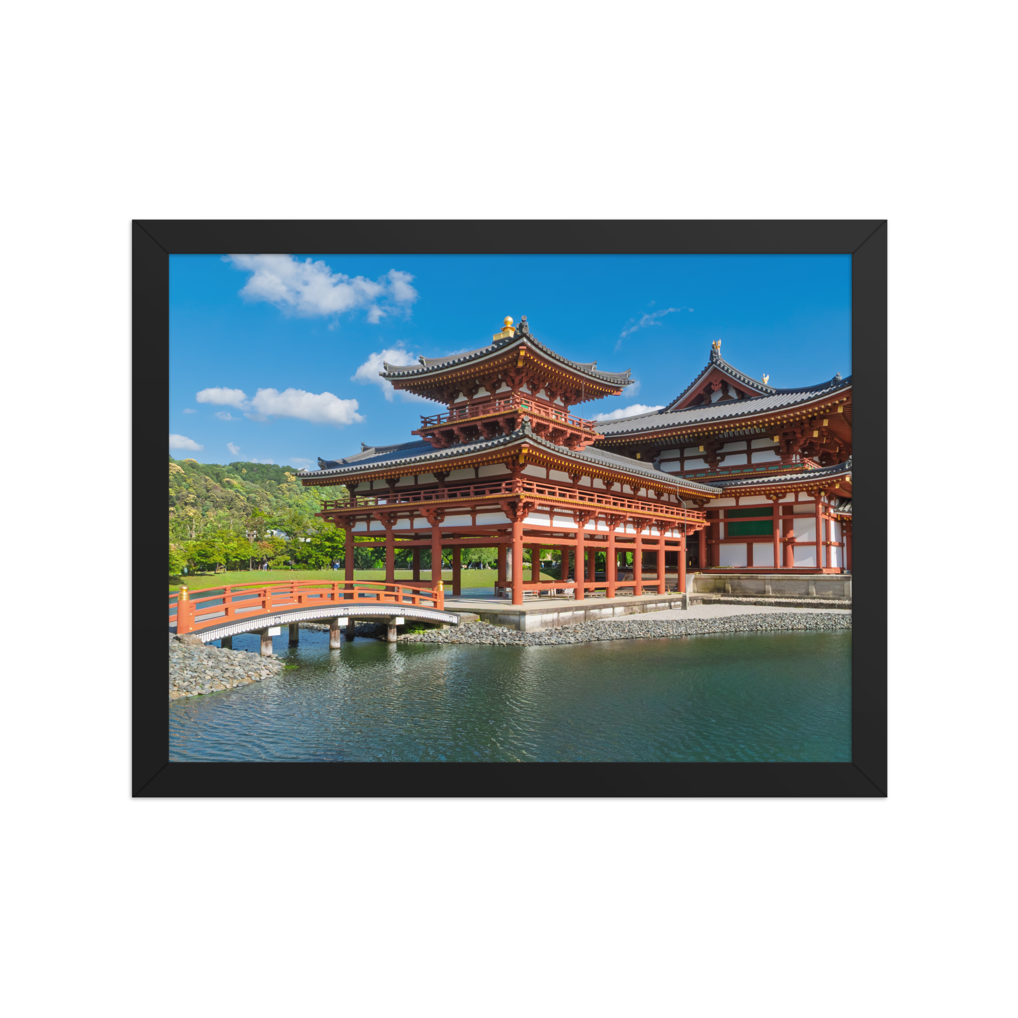 premium-luster-photo-paper-framed-poster-(in)-black-12x16-front-6a1db368283be.png