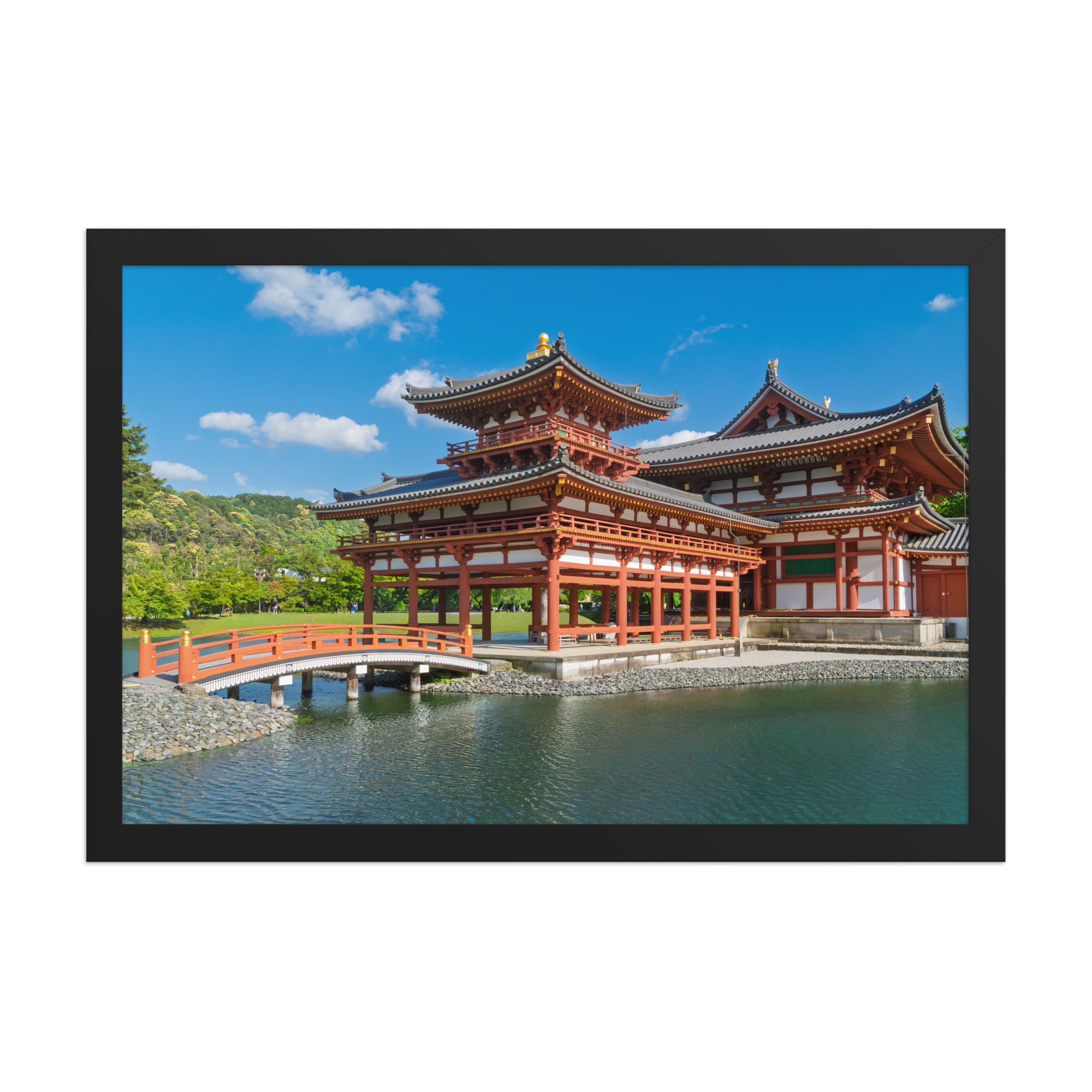 premium-luster-photo-paper-framed-poster-(in)-black-12x18-front-6a1db3682848e.png