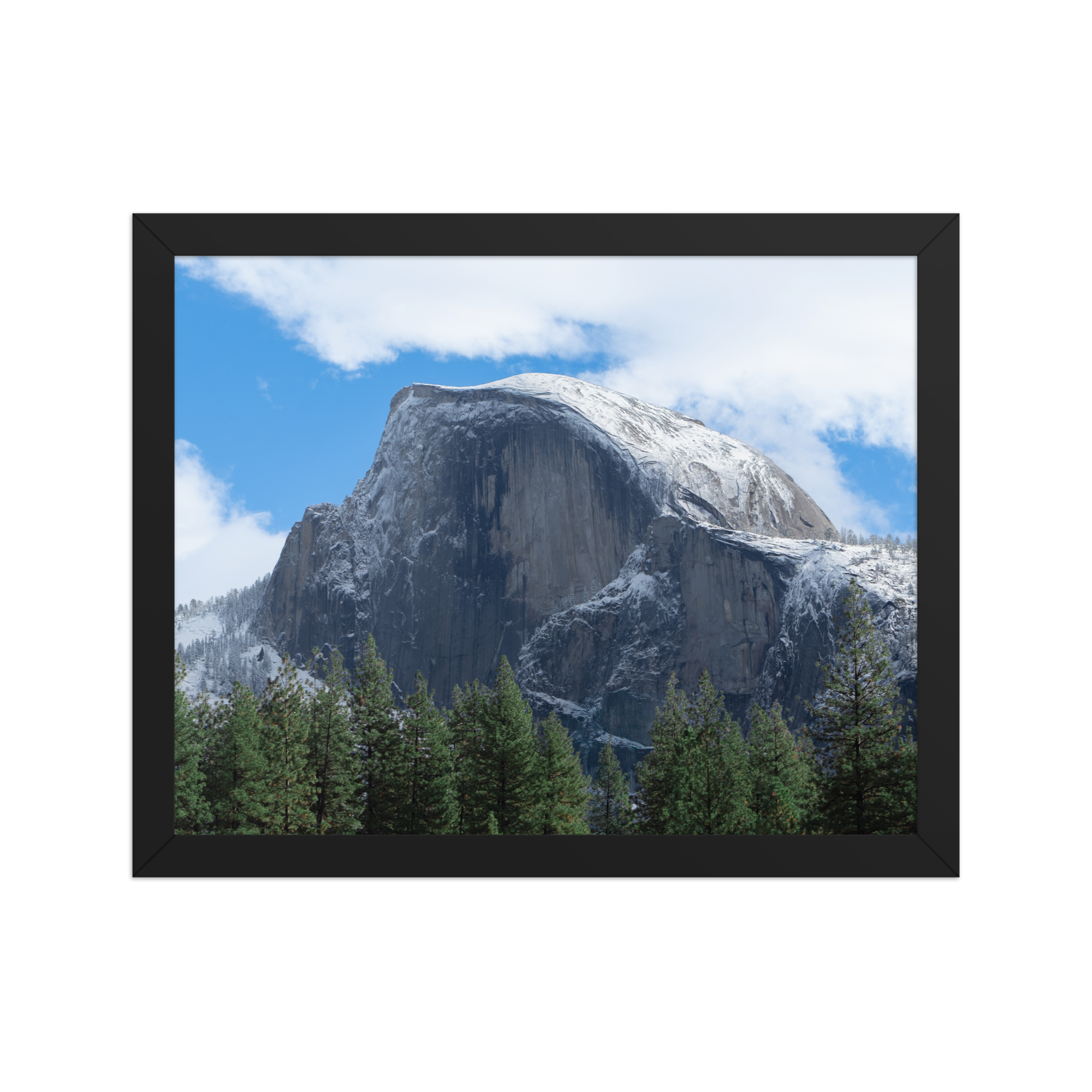 premium-luster-photo-paper-framed-poster-(in)-black-11x14-front-6a1db3a332e8d.png