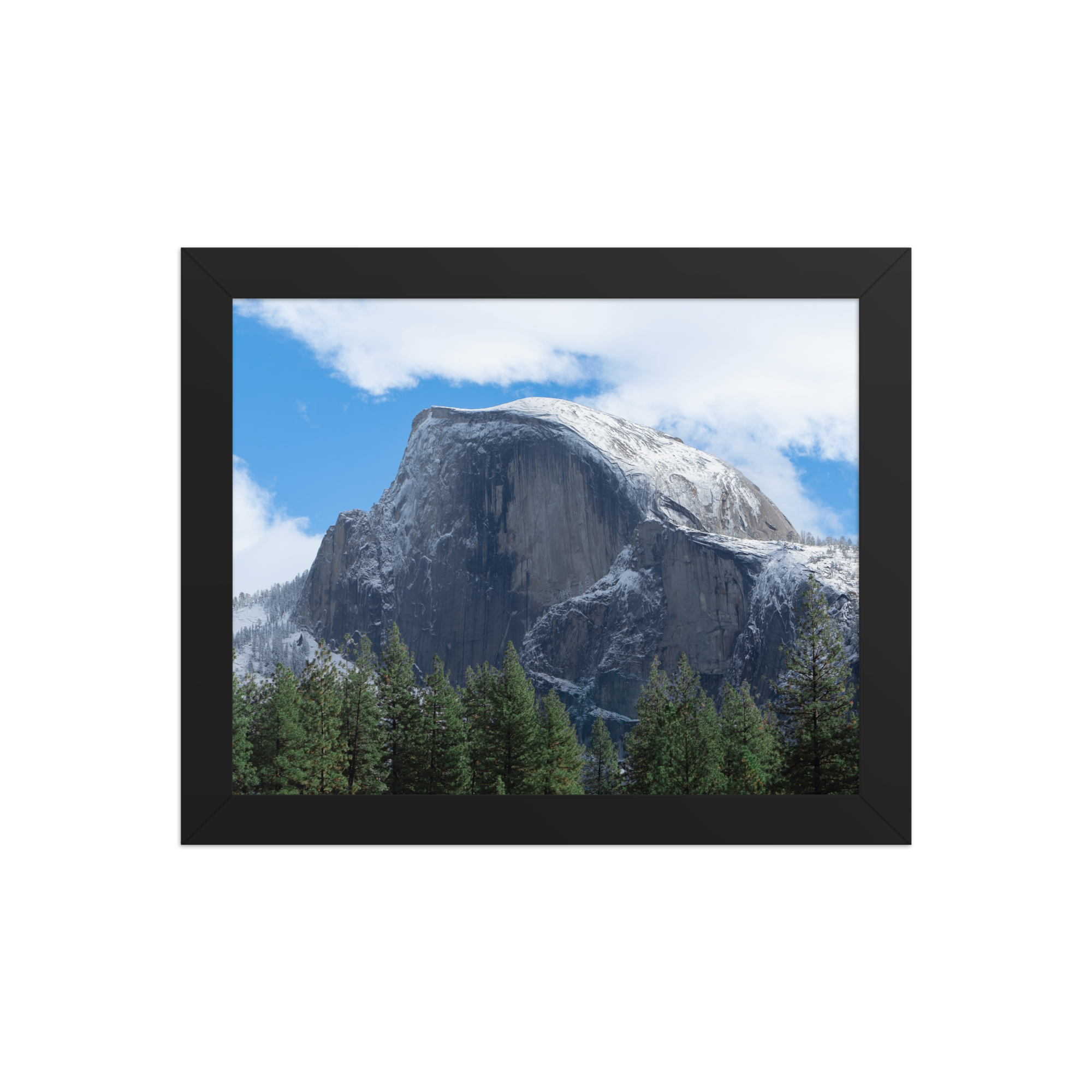premium-luster-photo-paper-framed-poster-(in)-black-8x10-front-6a1db3a333bba.png