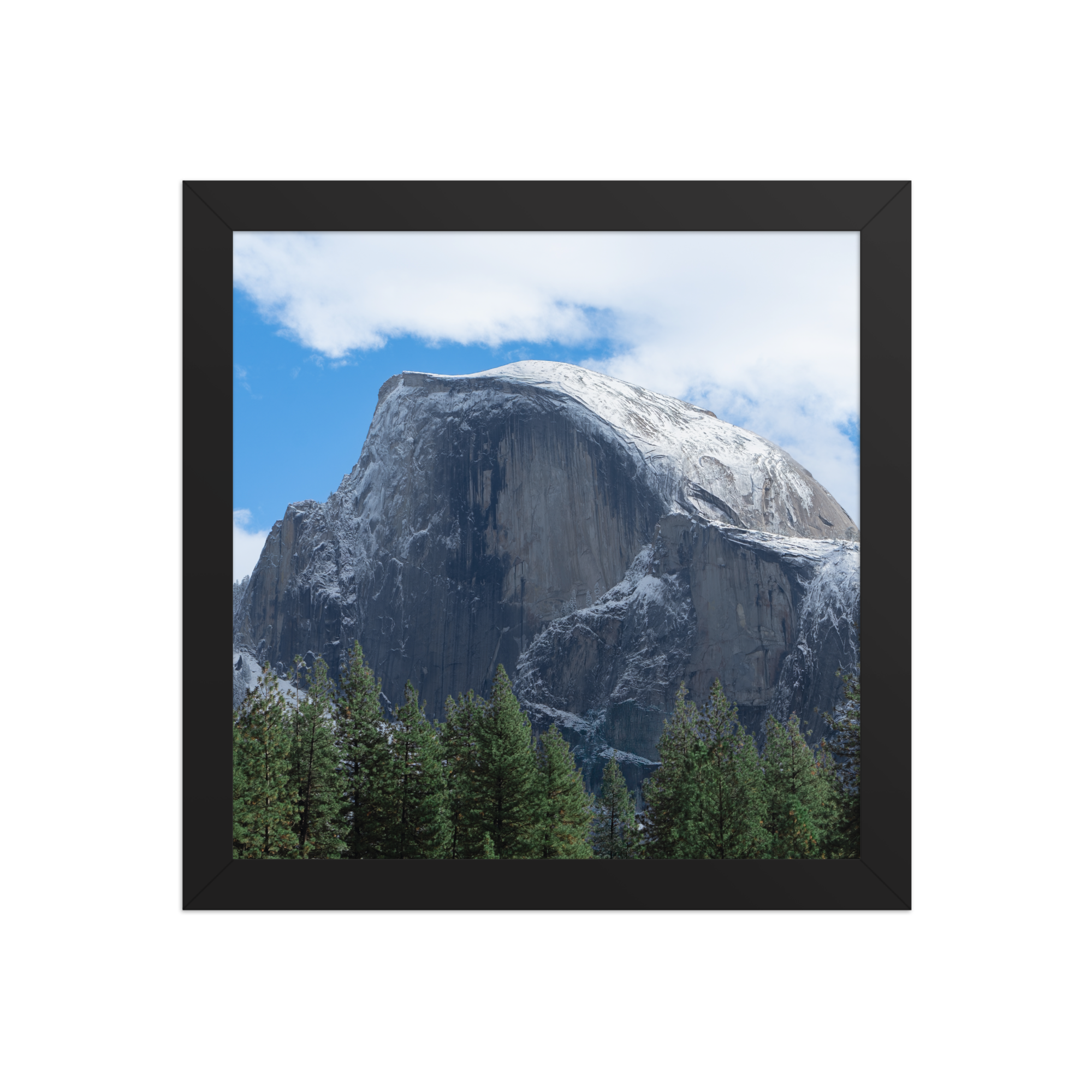 premium-luster-photo-paper-framed-poster-(in)-black-10x10-front-6a1db3a333c78.png