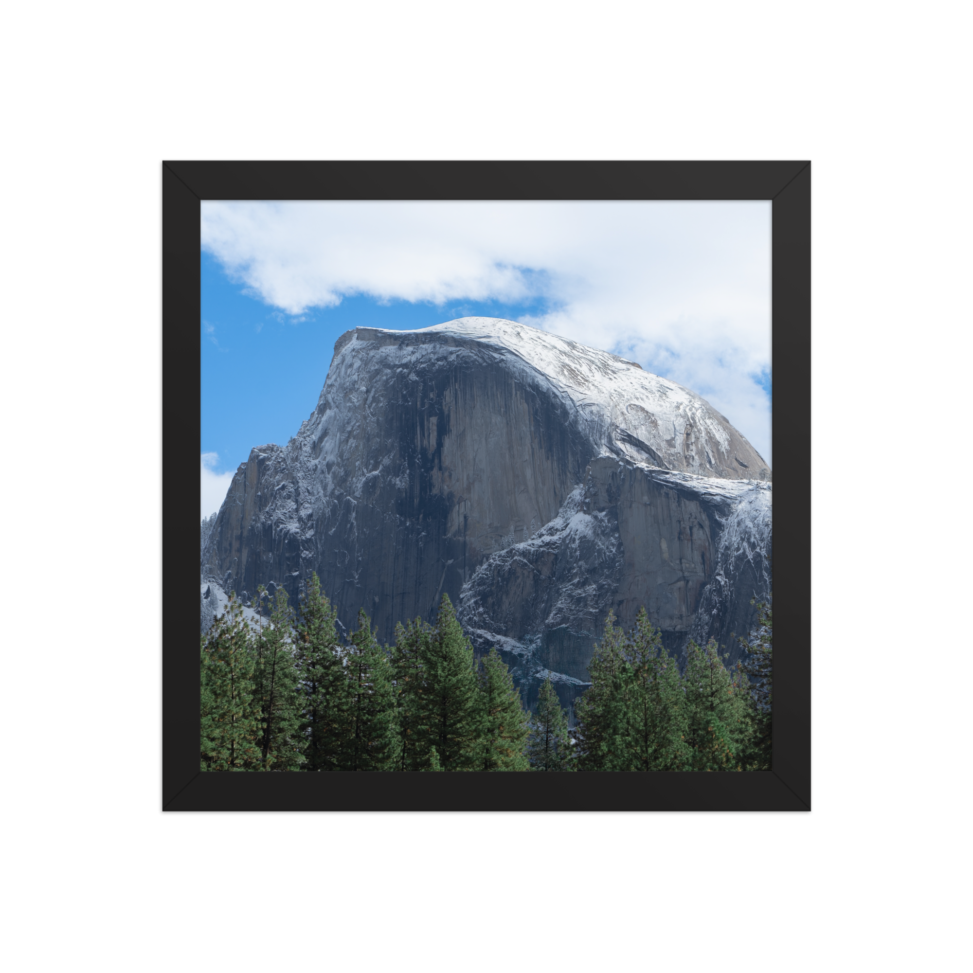 premium-luster-photo-paper-framed-poster-(in)-black-12x12-front-6a1db3a333d53.png