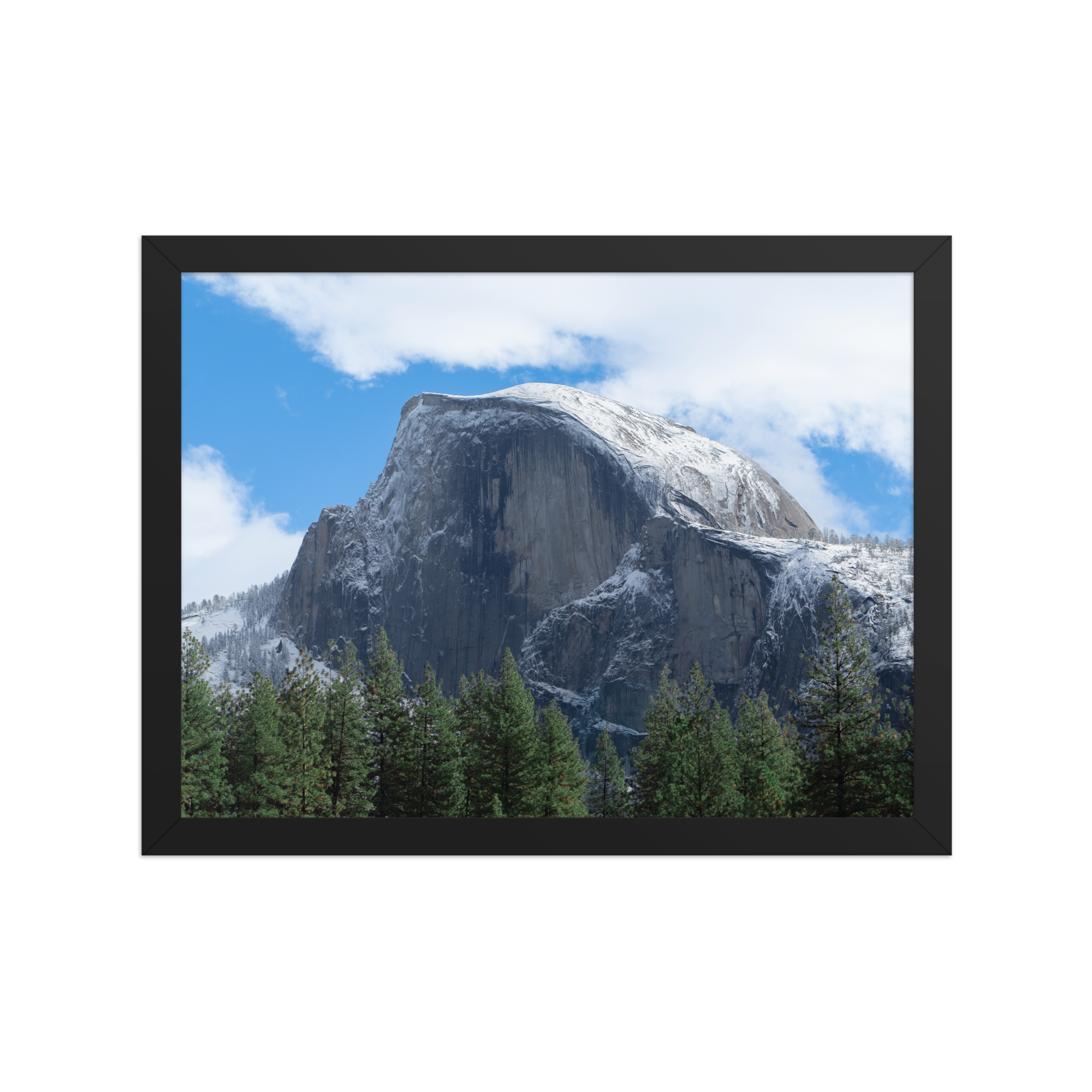 premium-luster-photo-paper-framed-poster-(in)-black-12x16-front-6a1db3a333de1.png