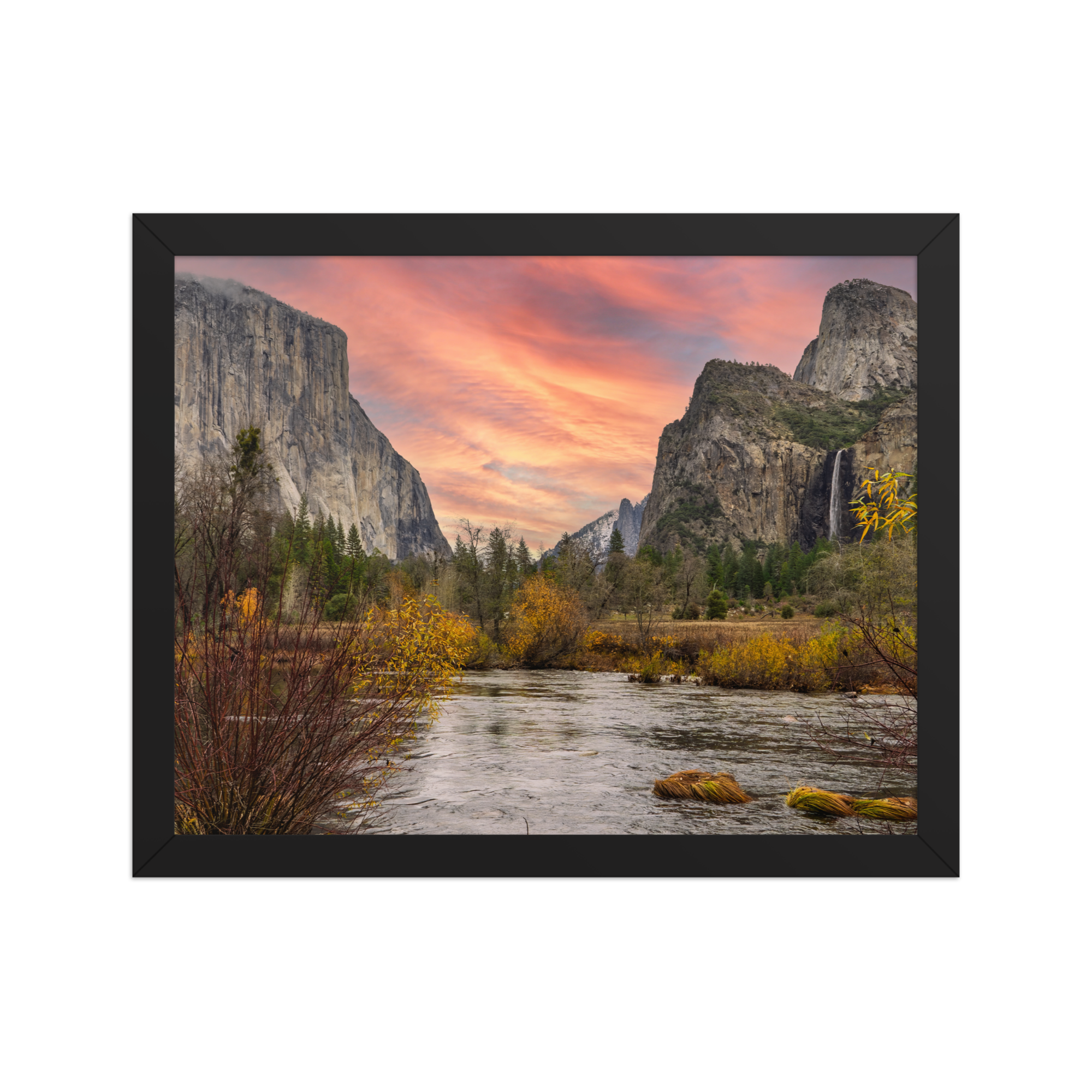 premium-luster-photo-paper-framed-poster-(in)-black-11x14-front-6a1db3b98d4bc.png