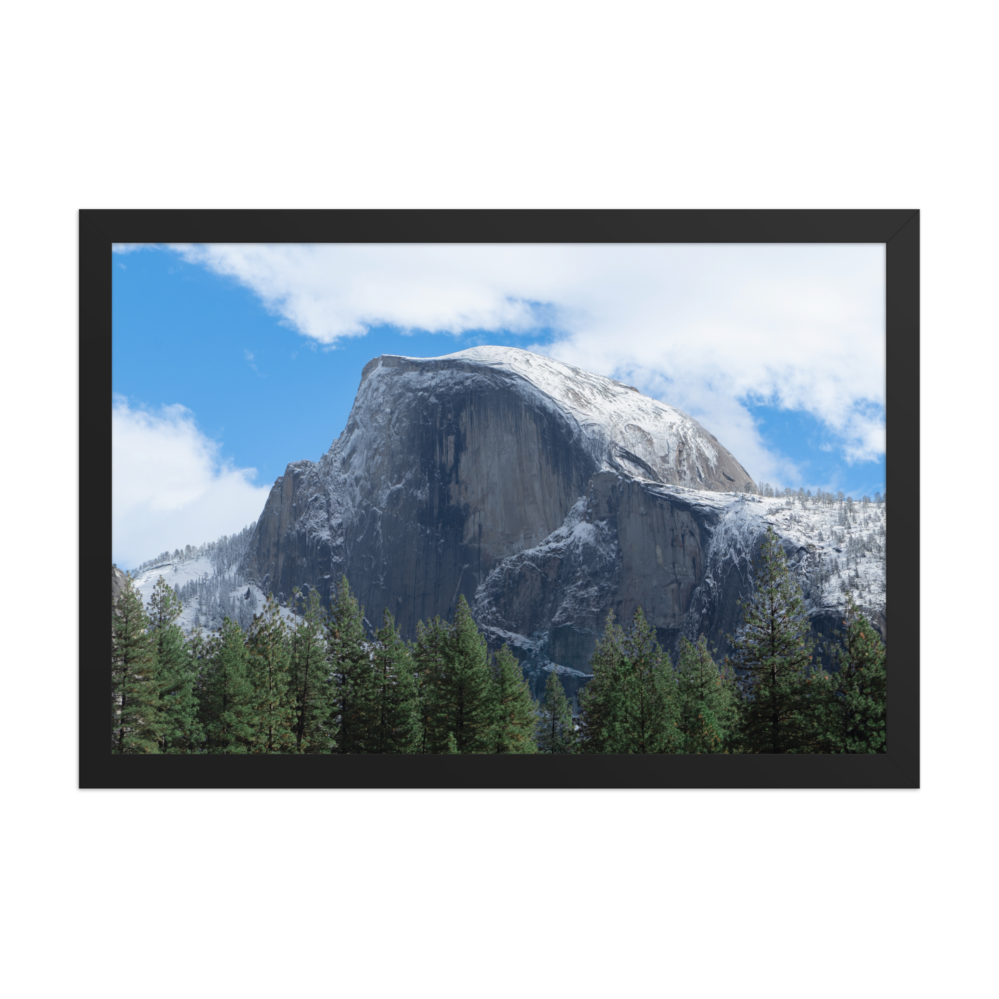 premium-luster-photo-paper-framed-poster-(in)-black-12x18-front-6a1db3a333e73.png