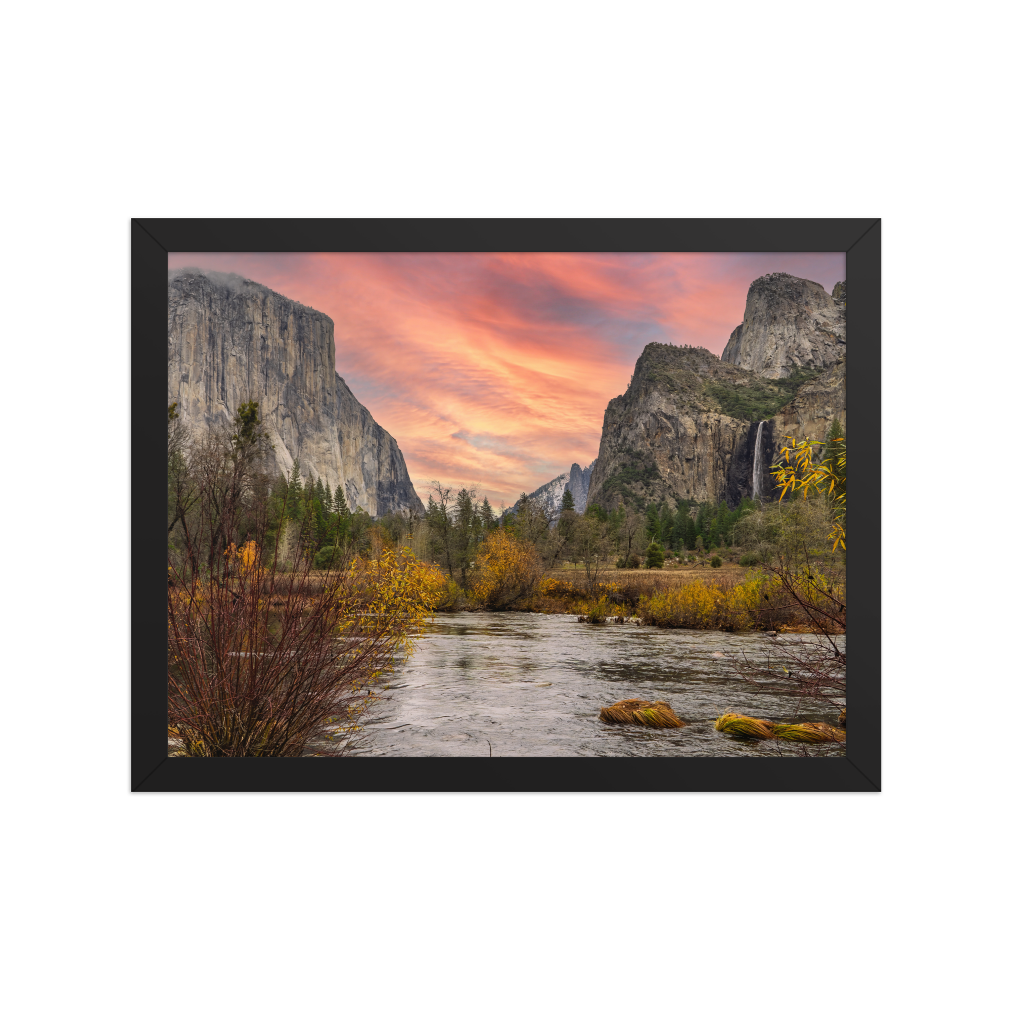 premium-luster-photo-paper-framed-poster-(in)-black-12x16-front-6a1db3b98df10.png