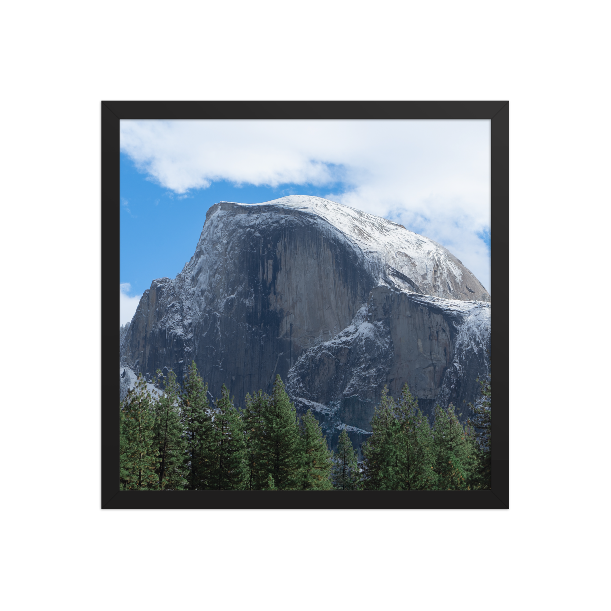 premium-luster-photo-paper-framed-poster-(in)-black-16x16-front-6a1db3a333f8e.png