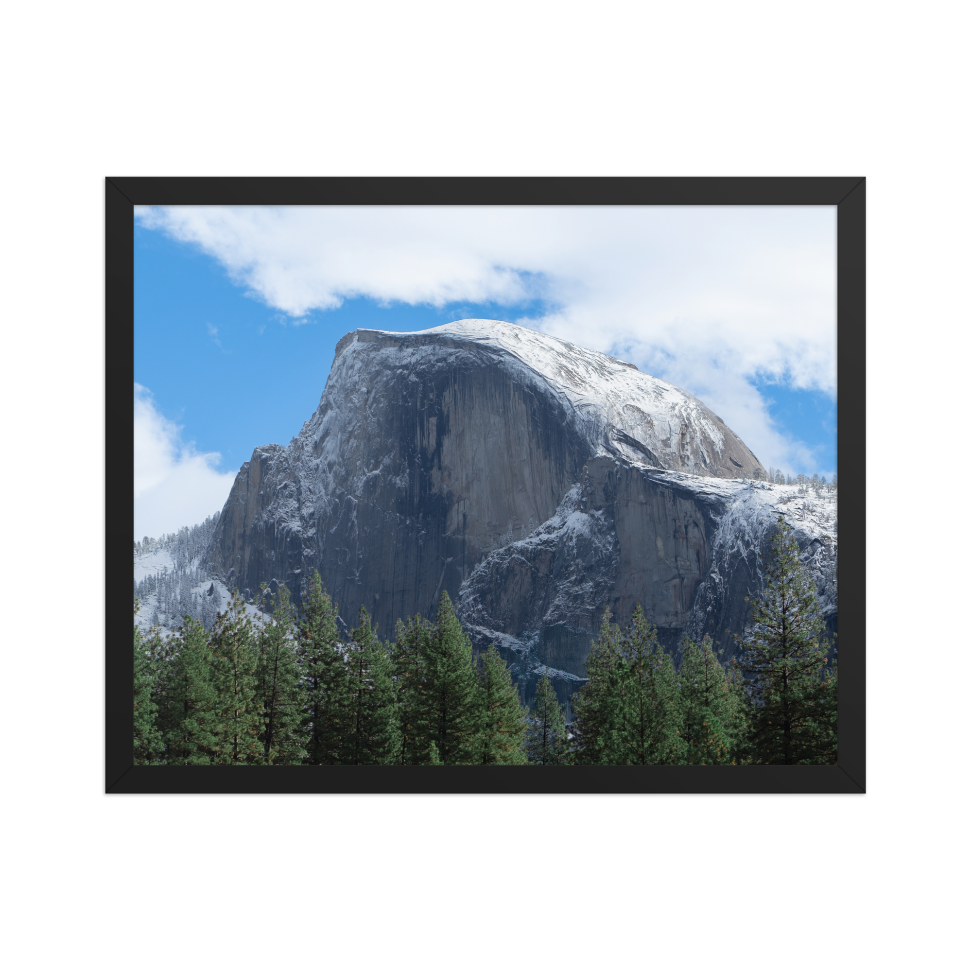 premium-luster-photo-paper-framed-poster-(in)-black-16x20-front-6a1db3a33401b.png