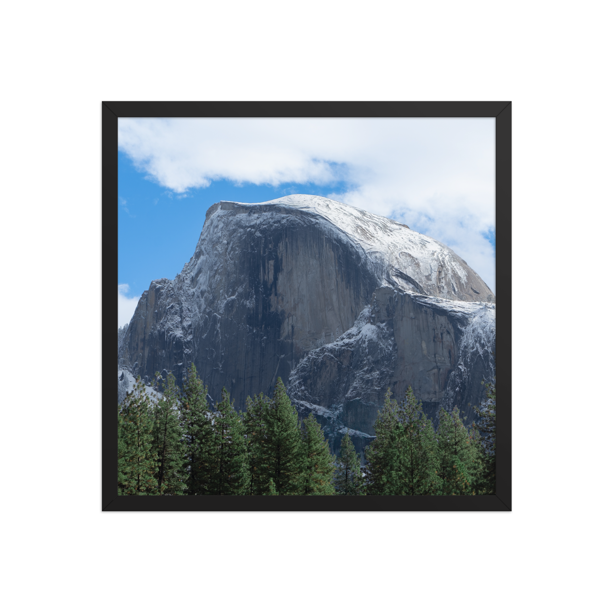 premium-luster-photo-paper-framed-poster-(in)-black-18x18-front-6a1db3a3340aa.png