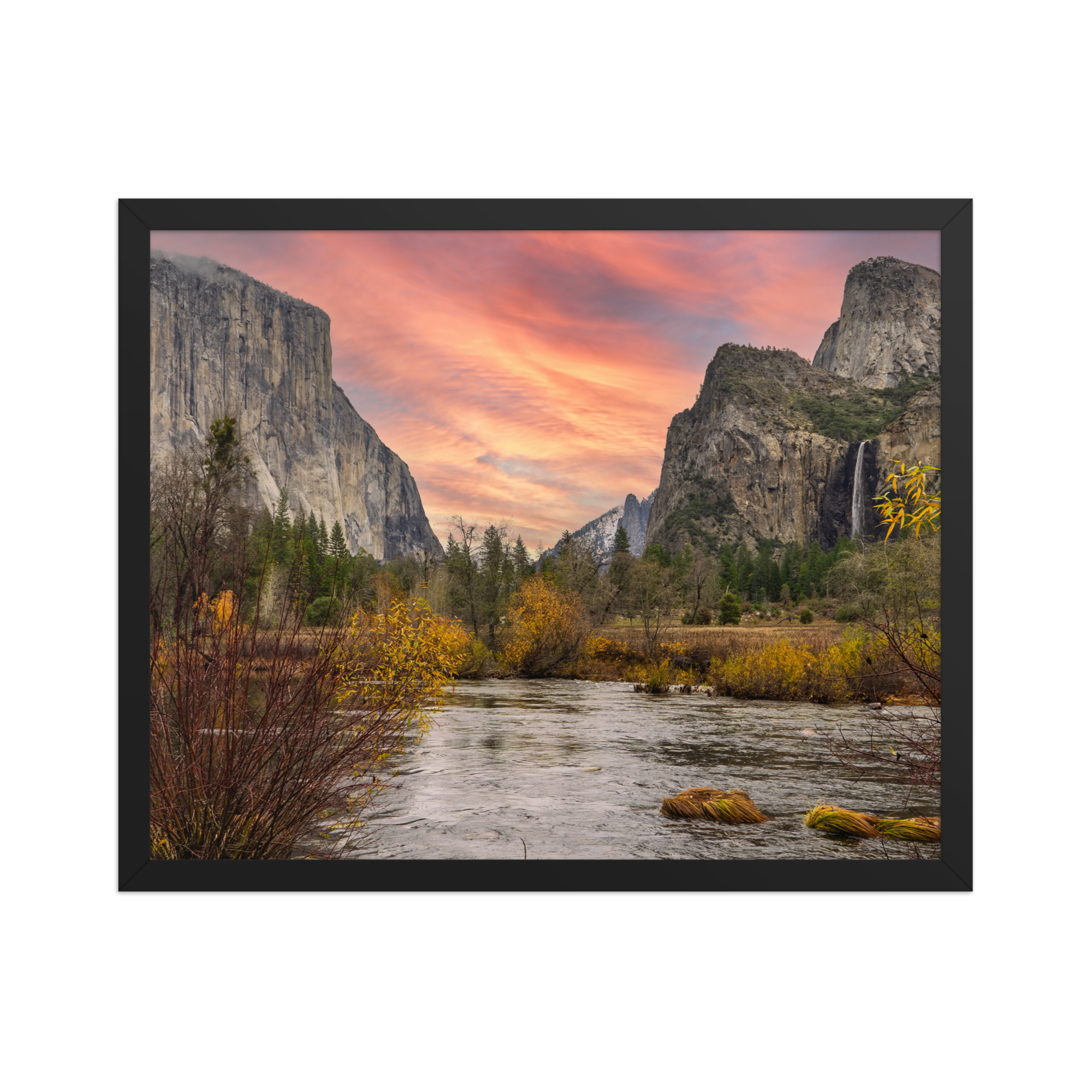 premium-luster-photo-paper-framed-poster-(in)-black-16x20-front-6a1db3b98e029.png