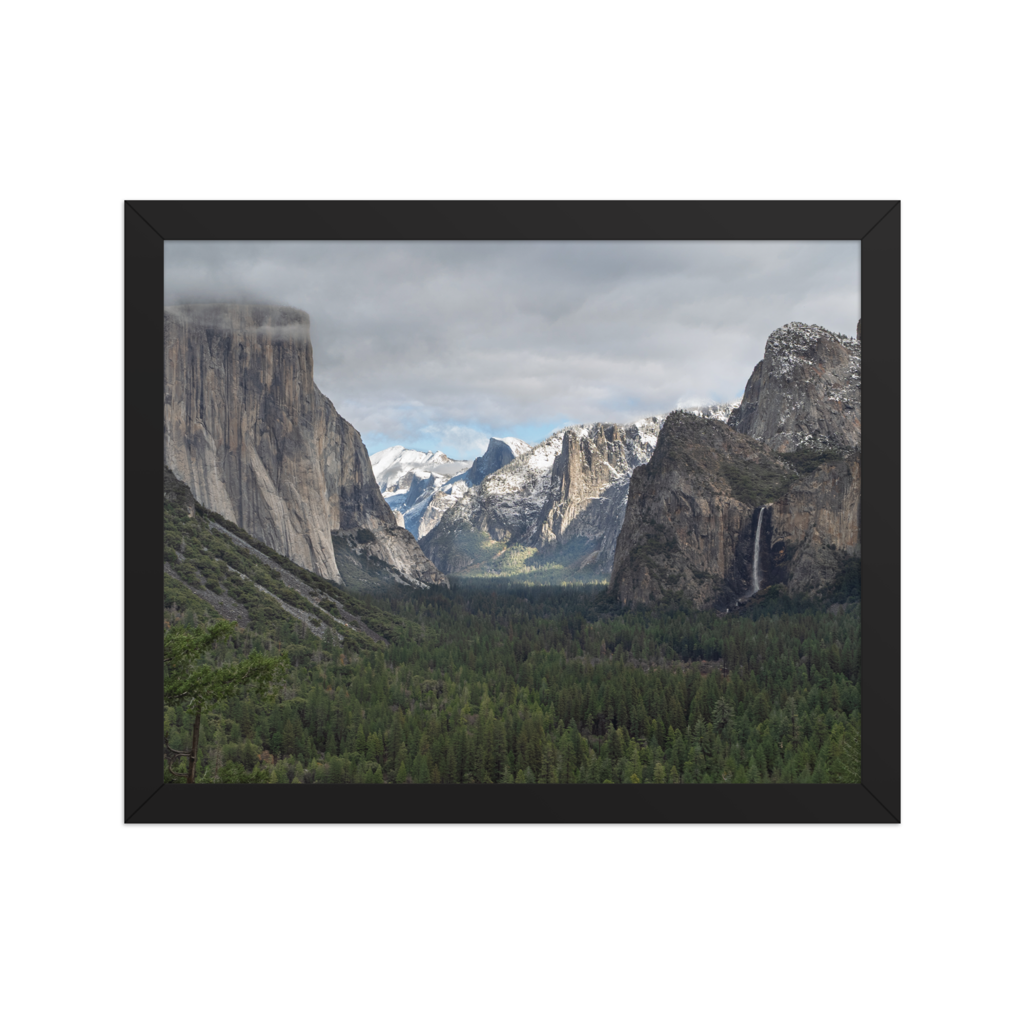 premium-luster-photo-paper-framed-poster-(in)-black-11x14-front-6a1db3d7458b9.png