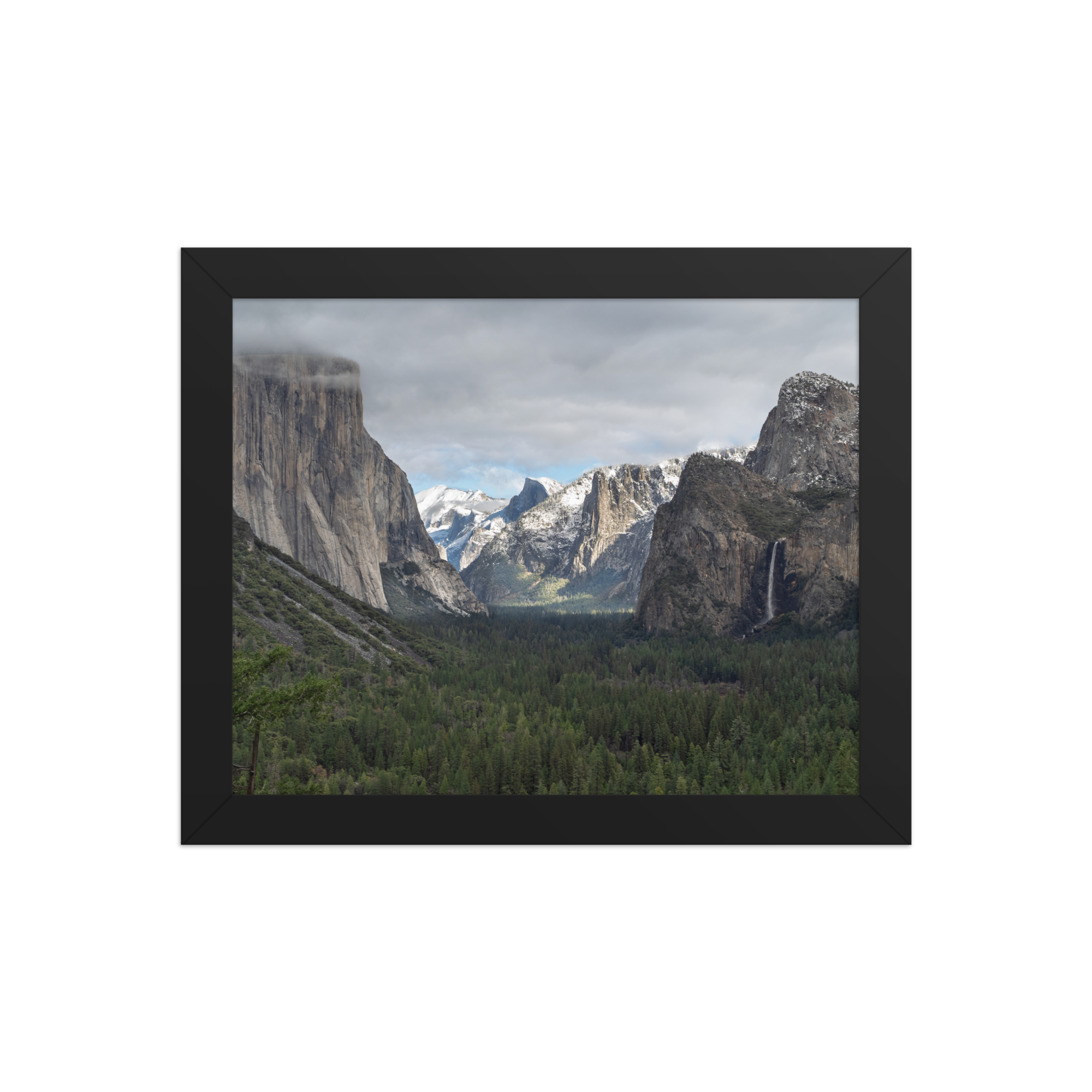 premium-luster-photo-paper-framed-poster-(in)-black-8x10-front-6a1db3d746478.png