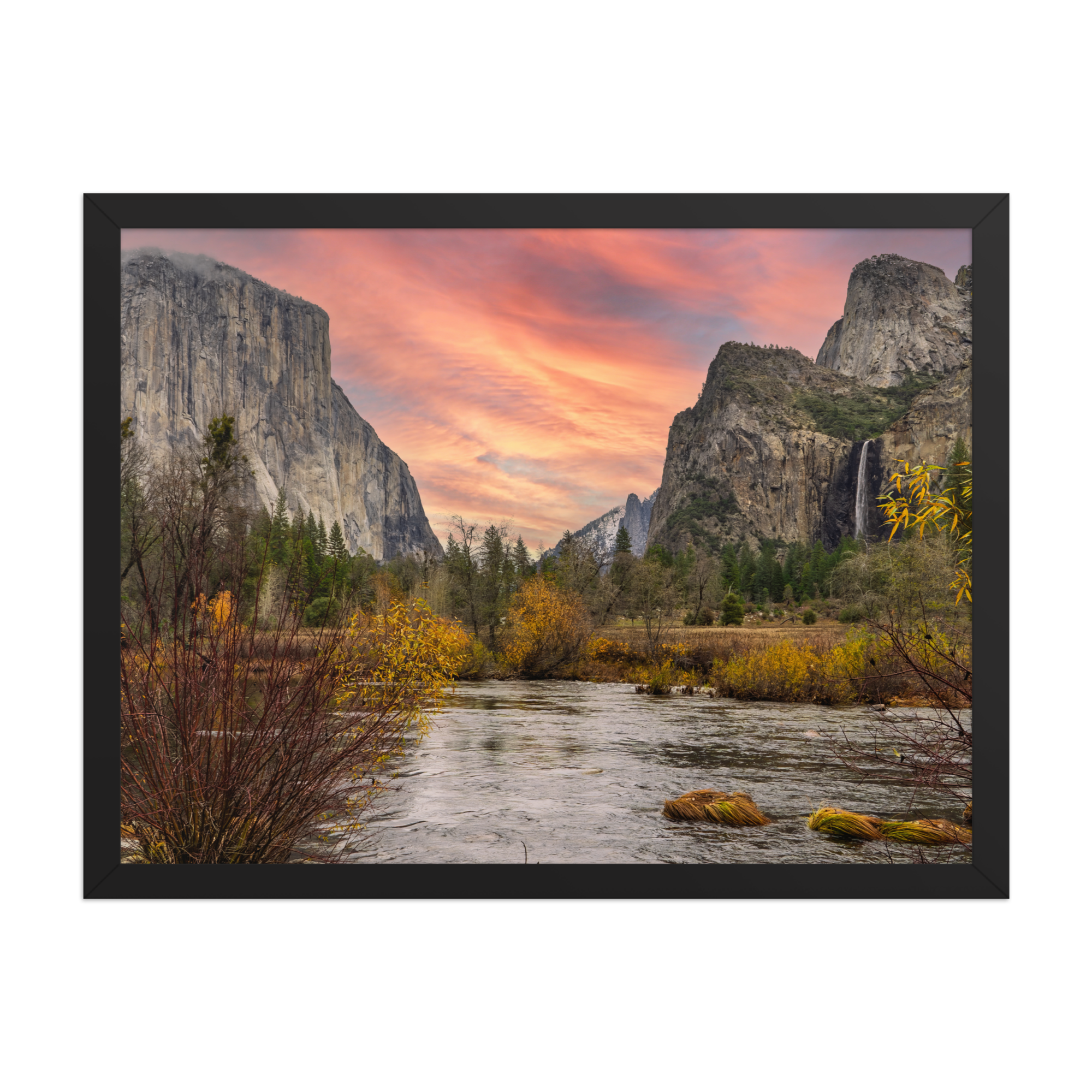 premium-luster-photo-paper-framed-poster-(in)-black-18x24-front-6a1db3b98e0b0.png