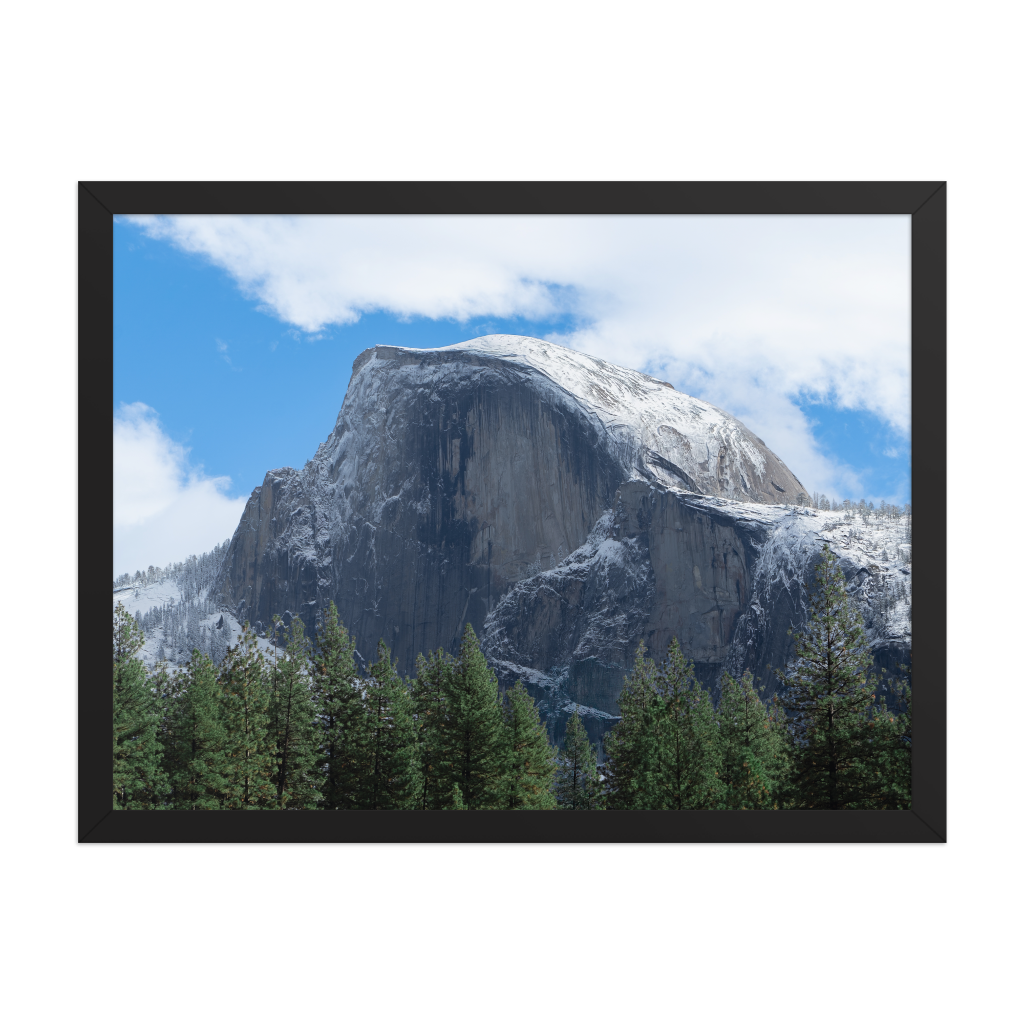premium-luster-photo-paper-framed-poster-(in)-black-18x24-front-6a1db3a334136.png