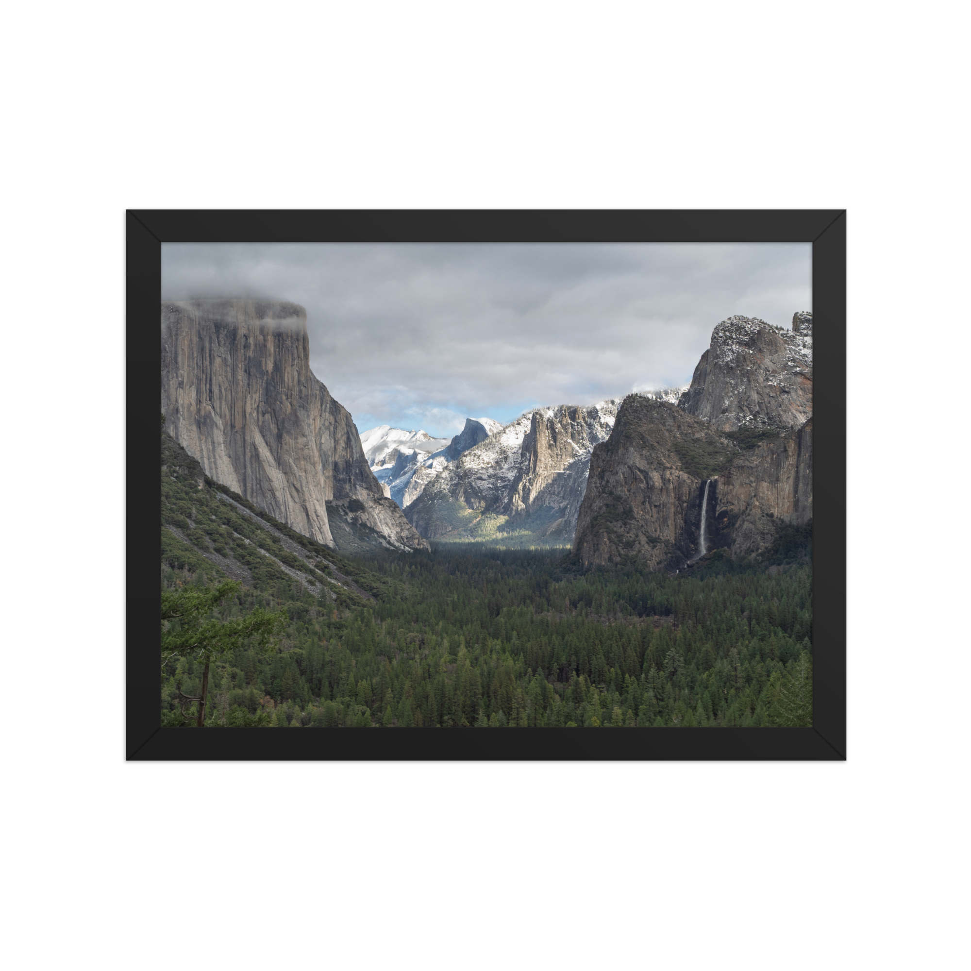 premium-luster-photo-paper-framed-poster-(in)-black-12x16-front-6a1db3d746574.png