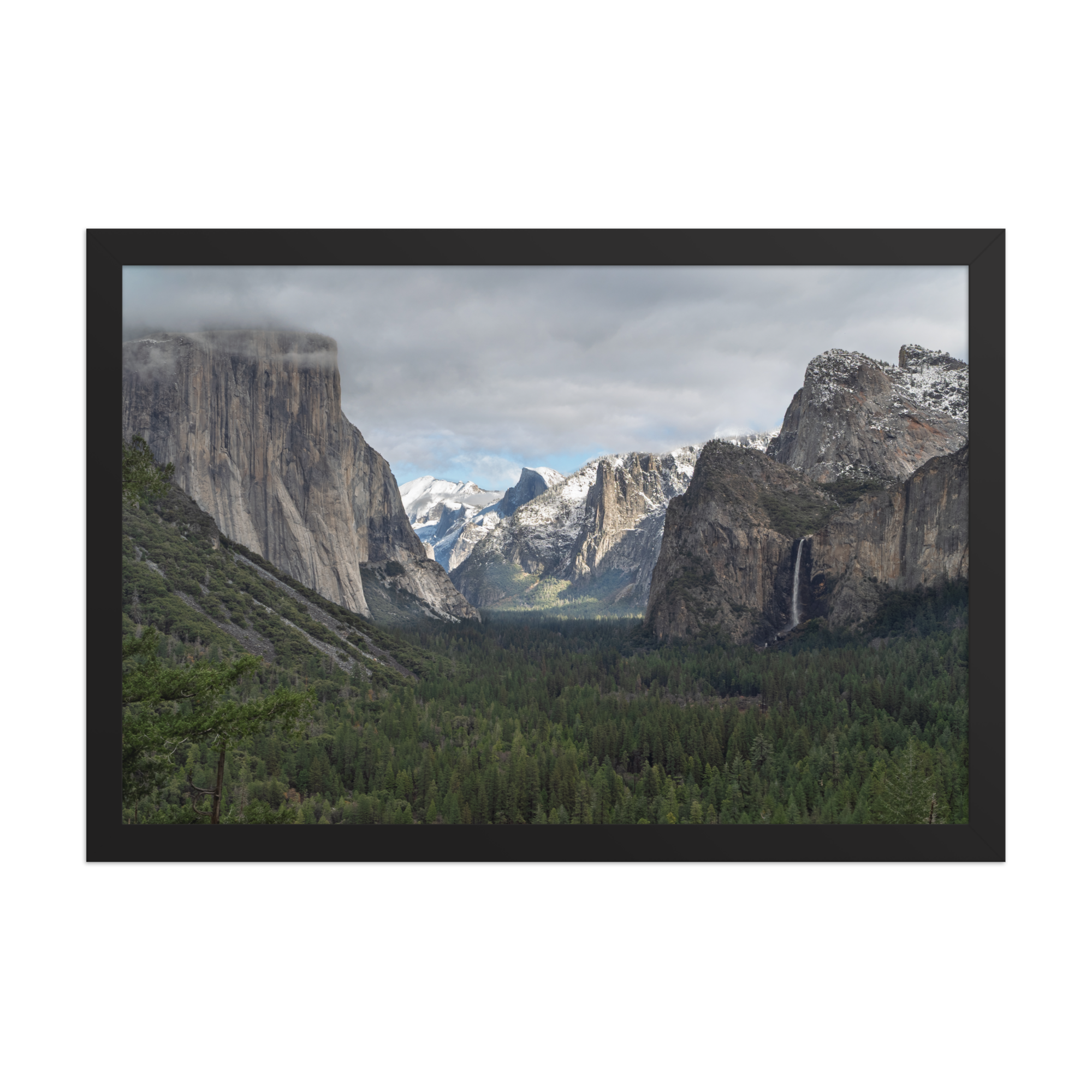 premium-luster-photo-paper-framed-poster-(in)-black-12x18-front-6a1db3d746619.png