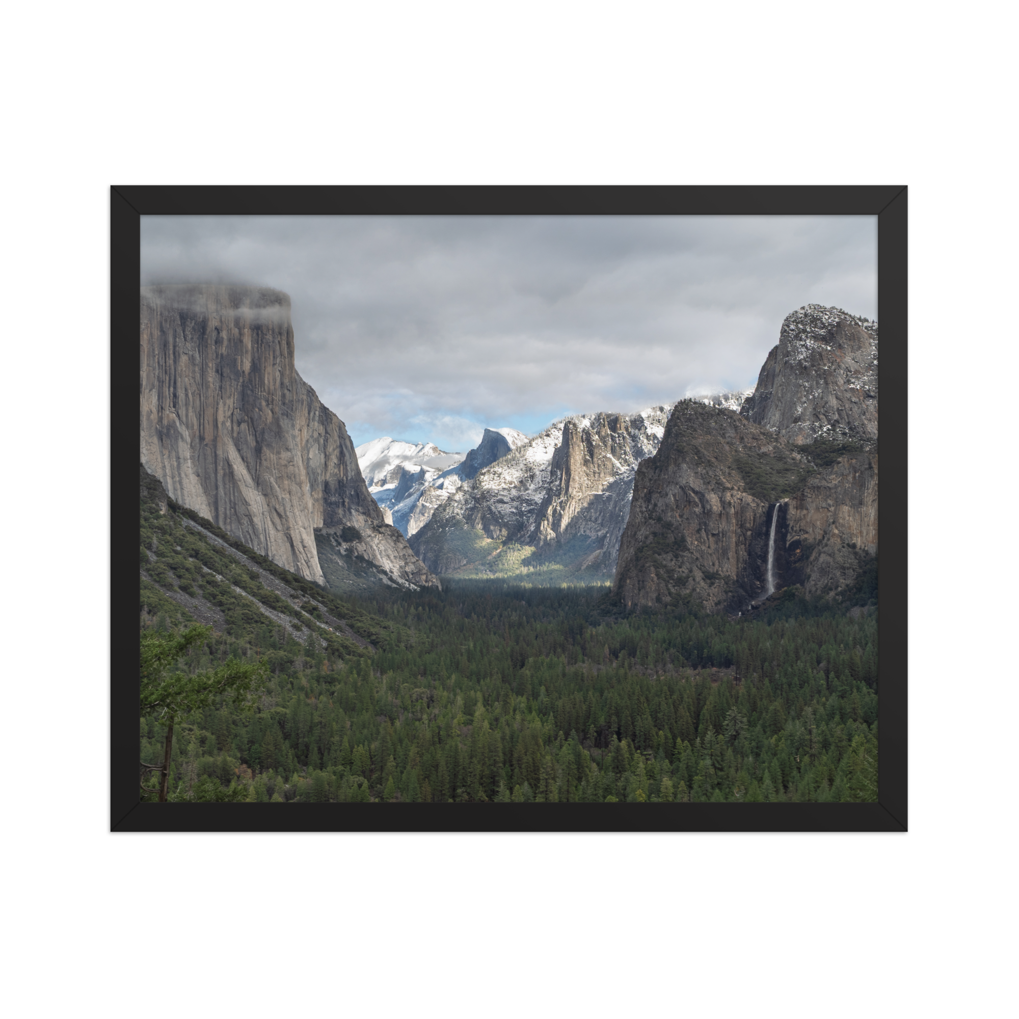 premium-luster-photo-paper-framed-poster-(in)-black-16x20-front-6a1db3d7466ad.png