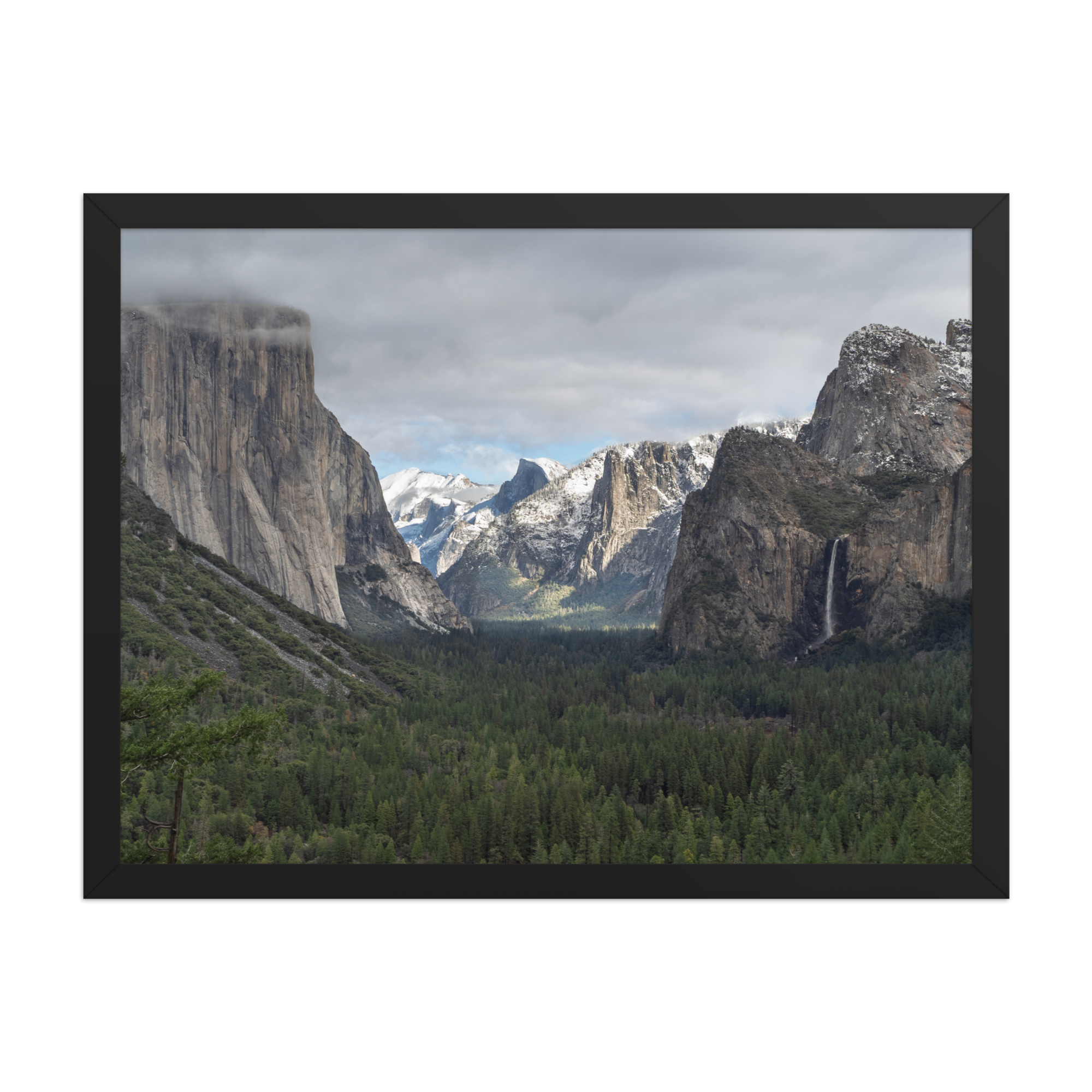 premium-luster-photo-paper-framed-poster-(in)-black-18x24-front-6a1db3d746757.png