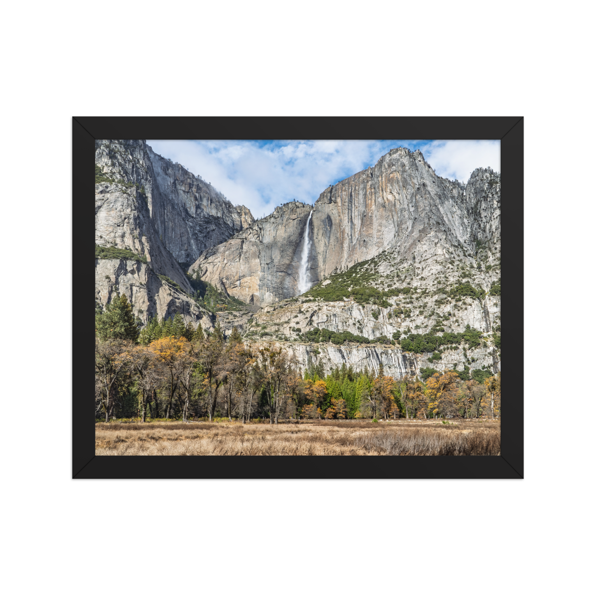 premium-luster-photo-paper-framed-poster-(in)-black-11x14-front-6a1db41f81e1e.png