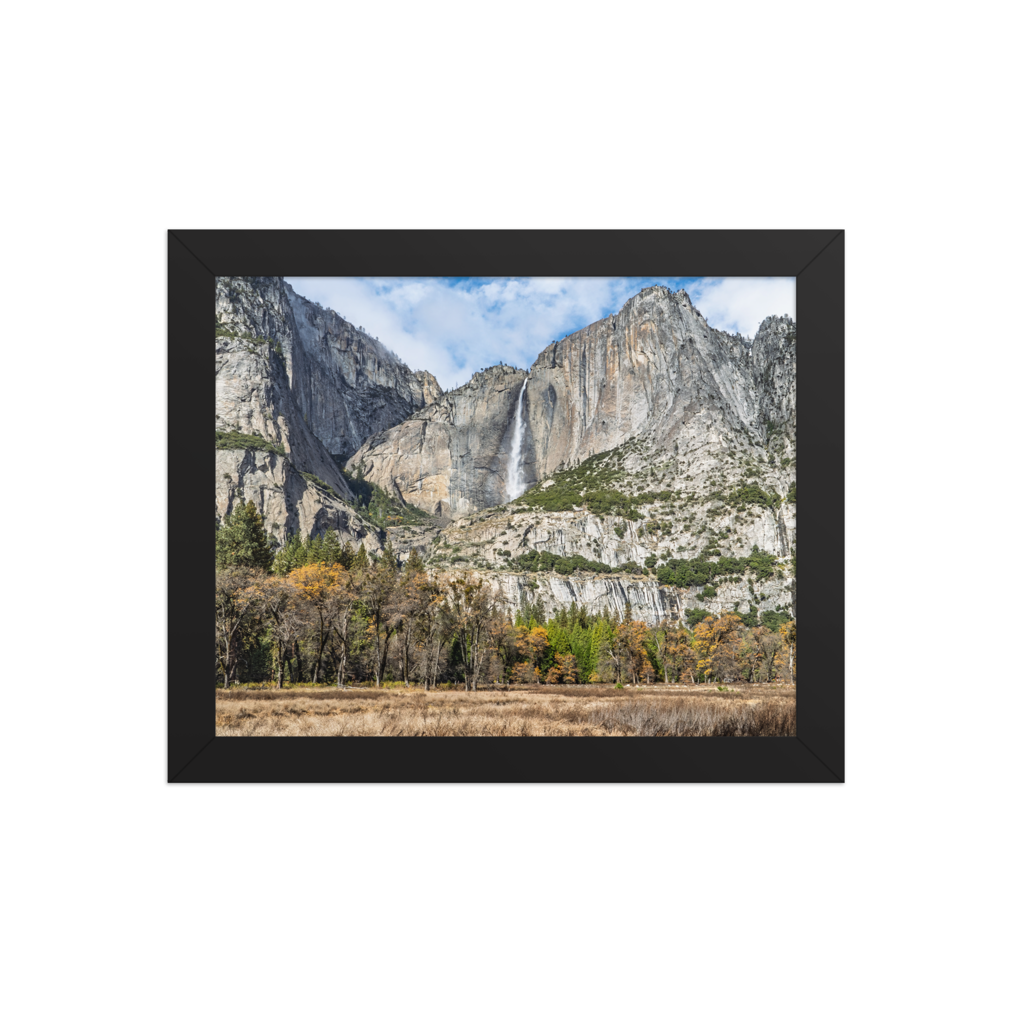 premium-luster-photo-paper-framed-poster-(in)-black-8x10-front-6a1db41f82a01.png