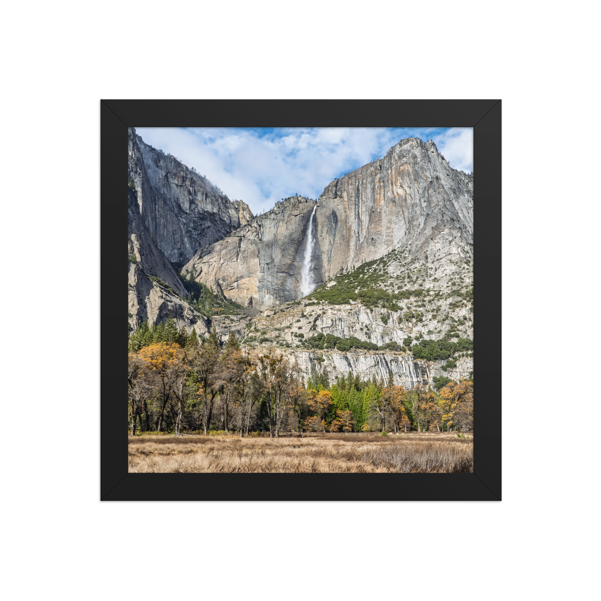 premium-luster-photo-paper-framed-poster-(in)-black-10x10-front-6a1db41f82b14.png