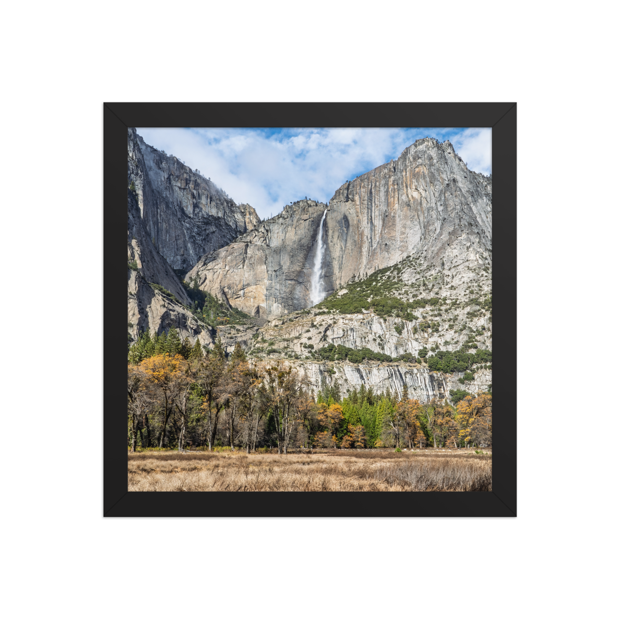 premium-luster-photo-paper-framed-poster-(in)-black-12x12-front-6a1db41f82ca1.png