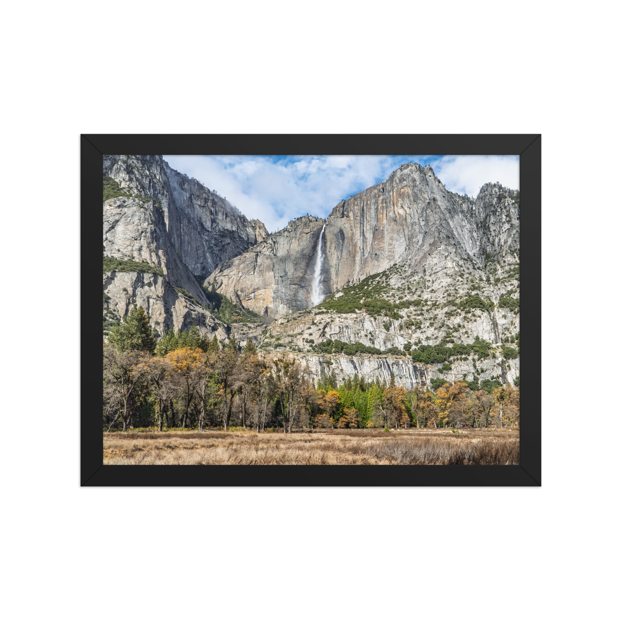 premium-luster-photo-paper-framed-poster-(in)-black-12x16-front-6a1db41f82d9e.png