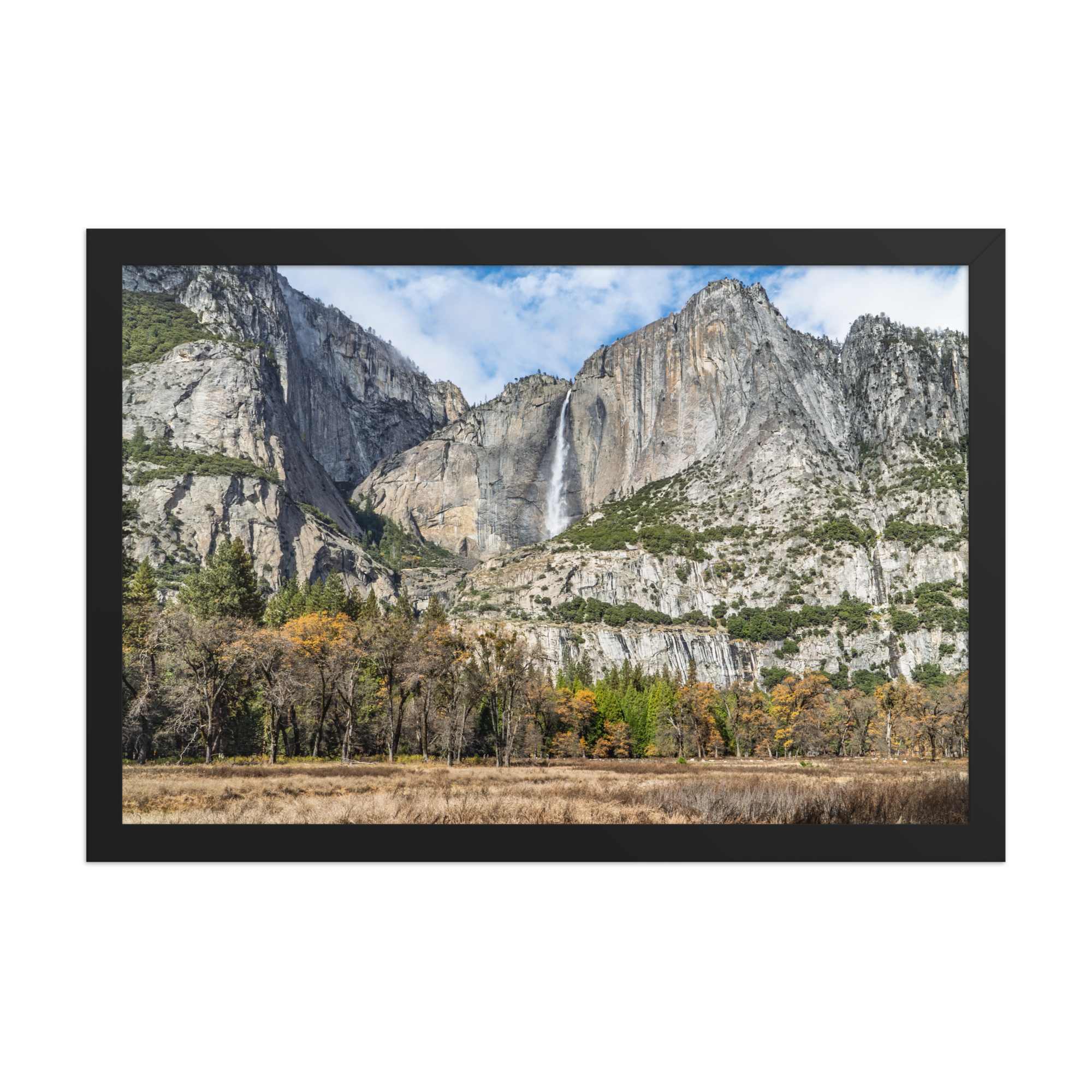 premium-luster-photo-paper-framed-poster-(in)-black-12x18-front-6a1db41f82ea0.png