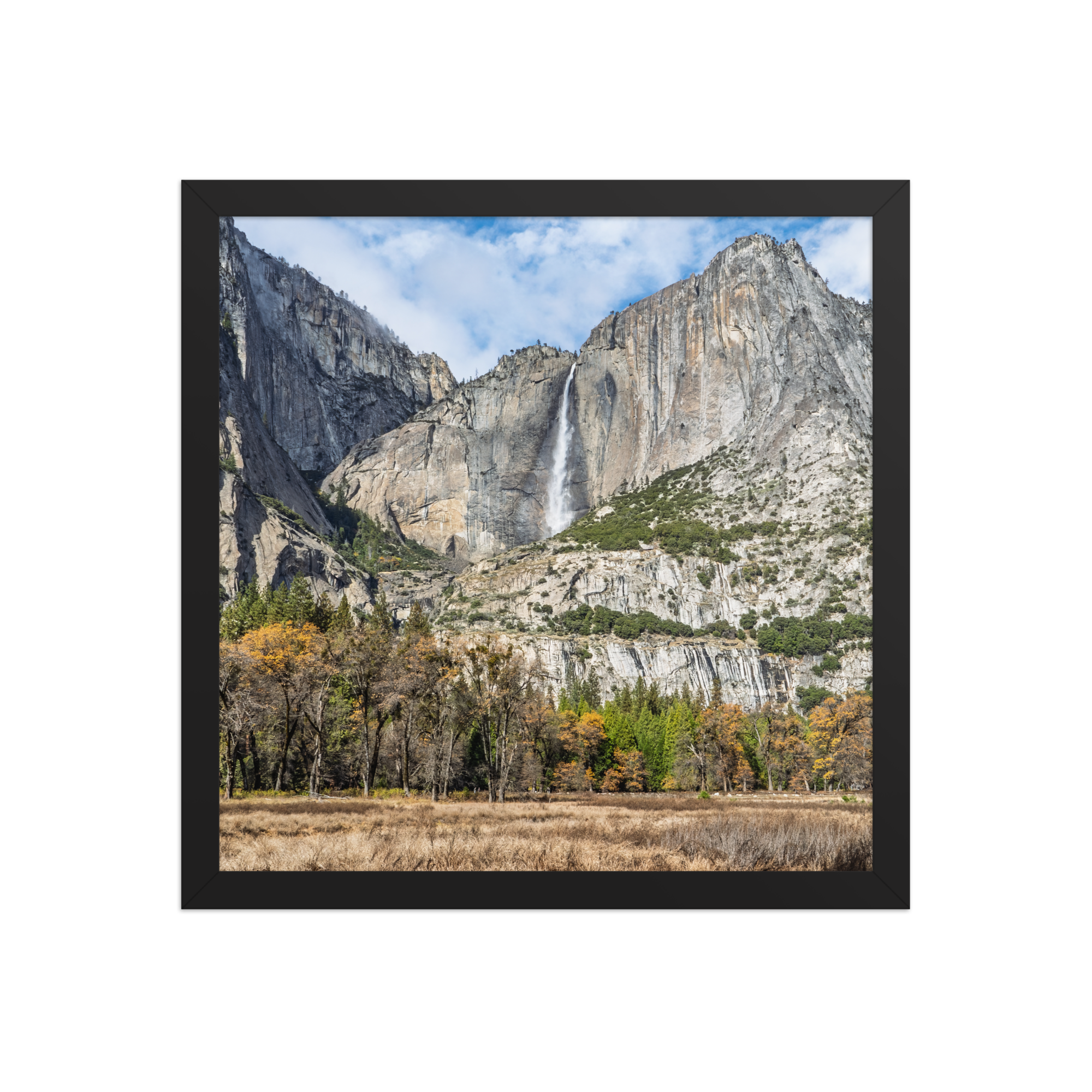 premium-luster-photo-paper-framed-poster-(in)-black-14x14-front-6a1db41f82fa6.png