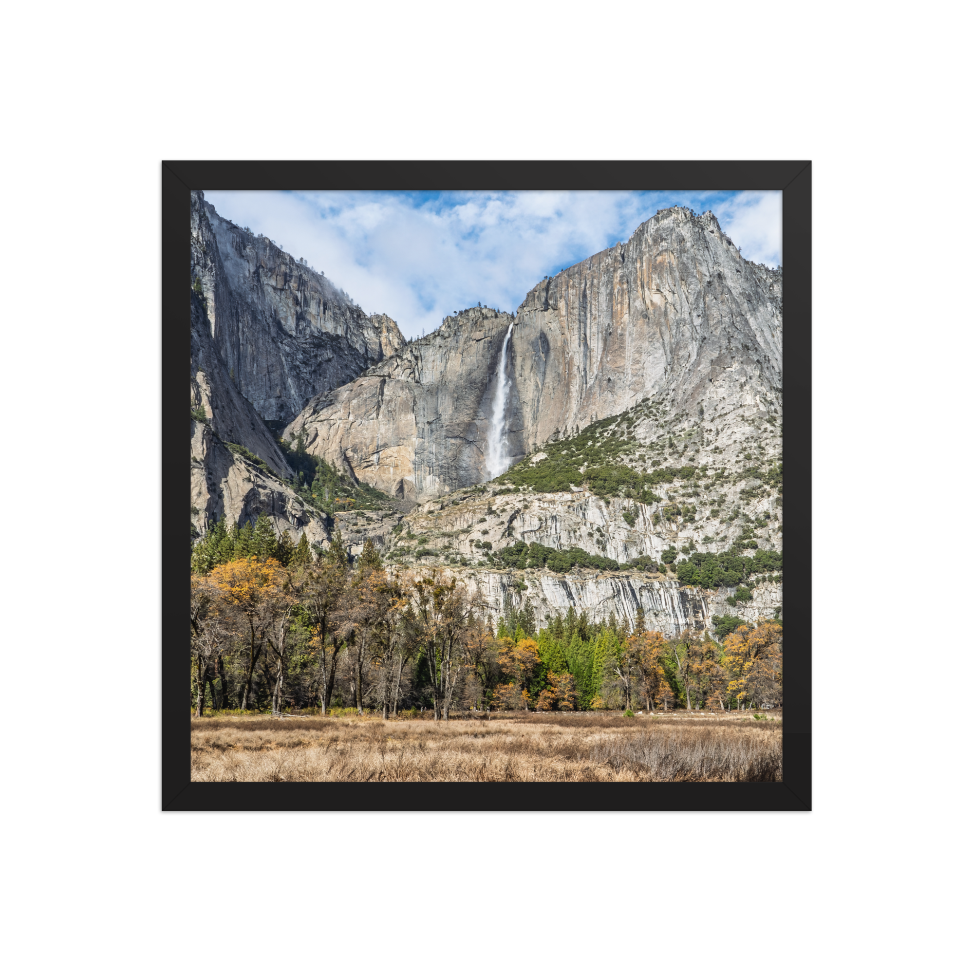 premium-luster-photo-paper-framed-poster-(in)-black-16x16-front-6a1db41f830ab.png