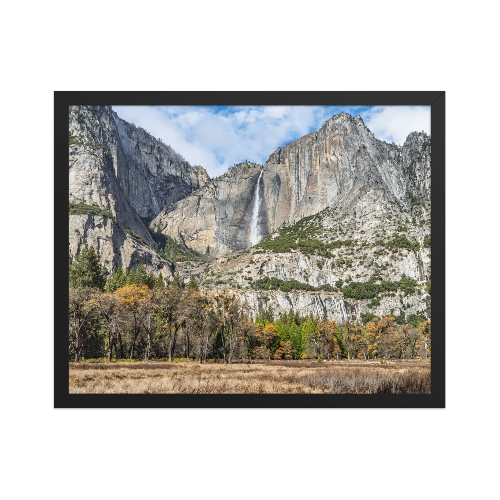 premium-luster-photo-paper-framed-poster-(in)-black-16x20-front-6a1db41f831a7.png