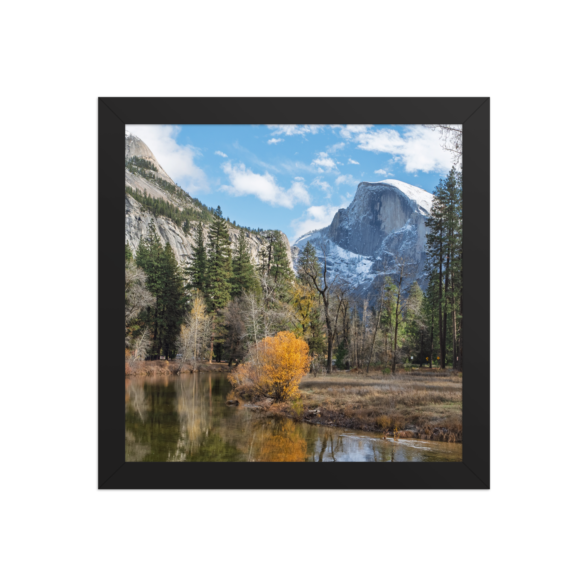 premium-luster-photo-paper-framed-poster-(in)-black-10x10-front-6a1db44974555.png
