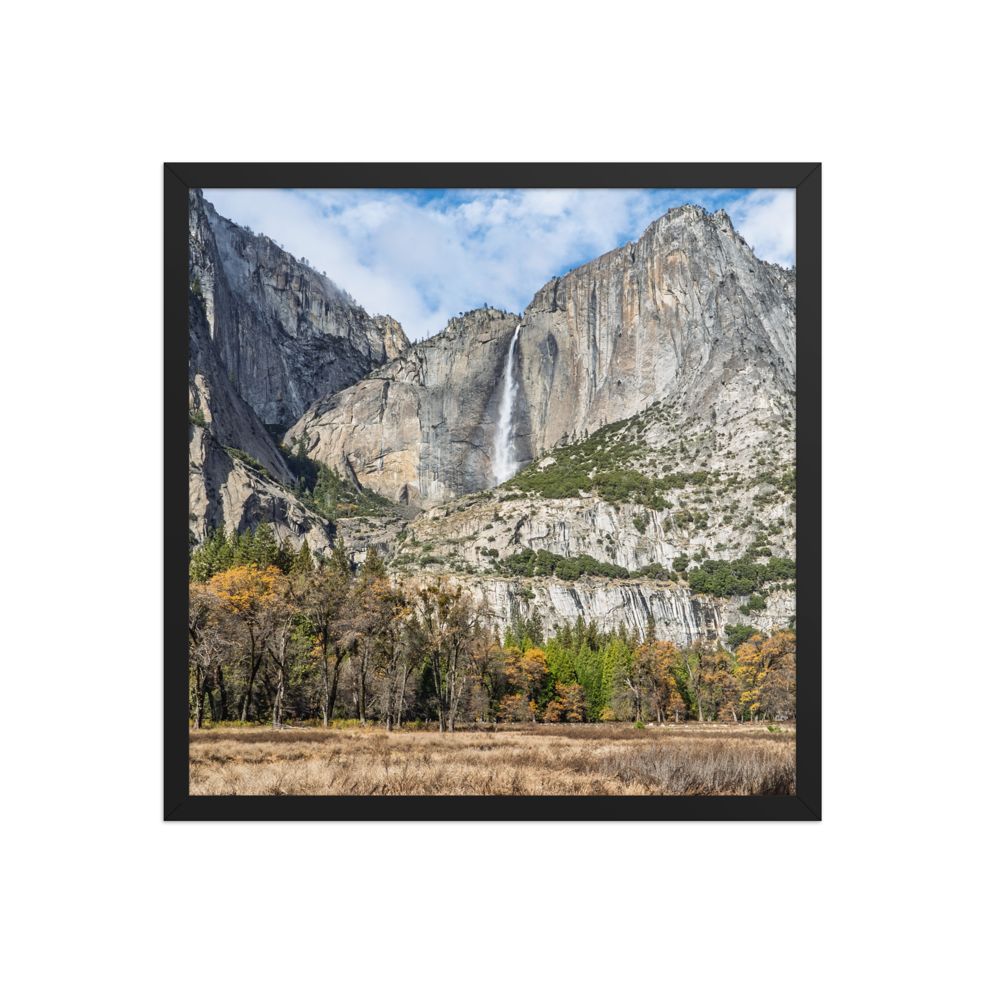 premium-luster-photo-paper-framed-poster-(in)-black-18x18-front-6a1db41f832ab.png