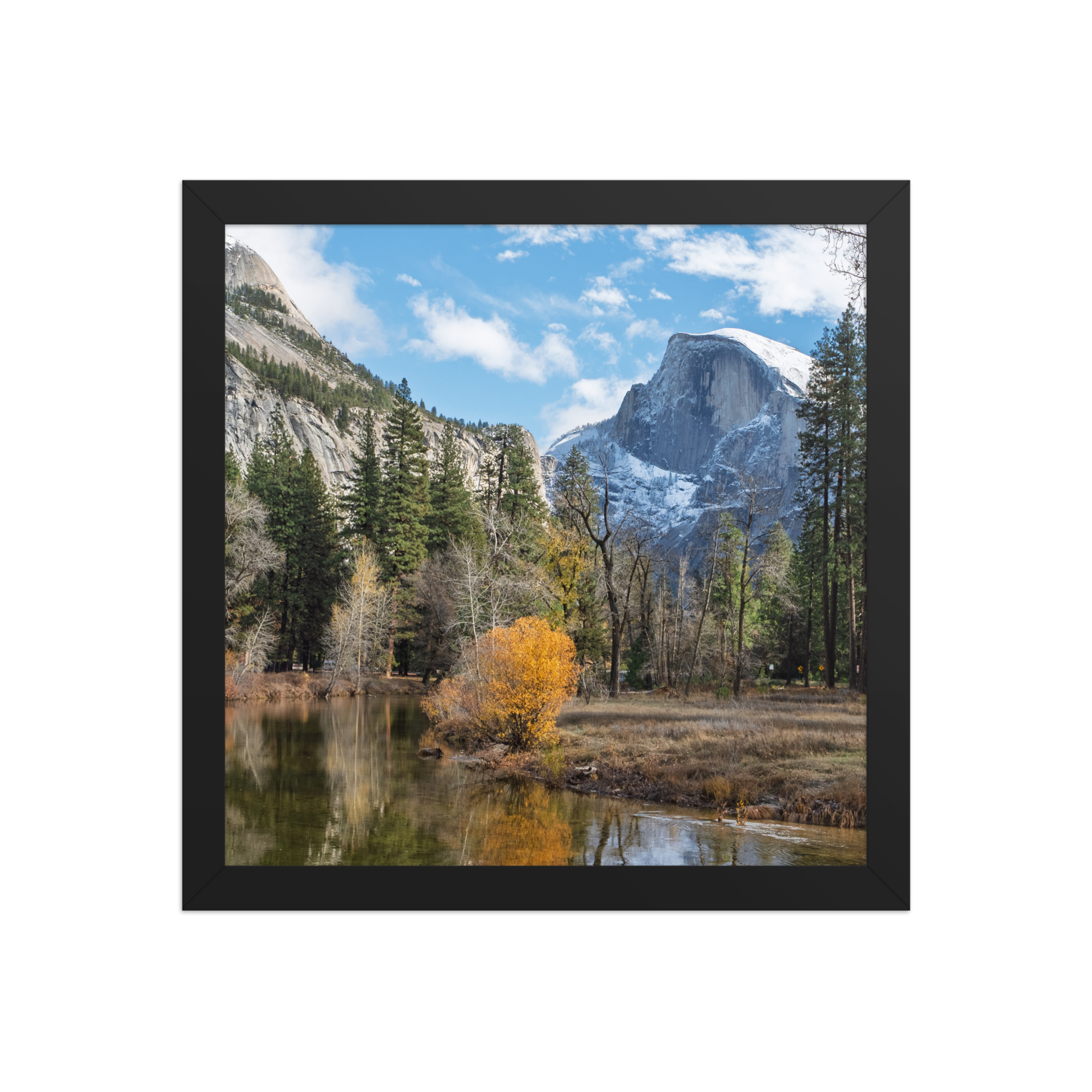 premium-luster-photo-paper-framed-poster-(in)-black-12x12-front-6a1db449746d9.png