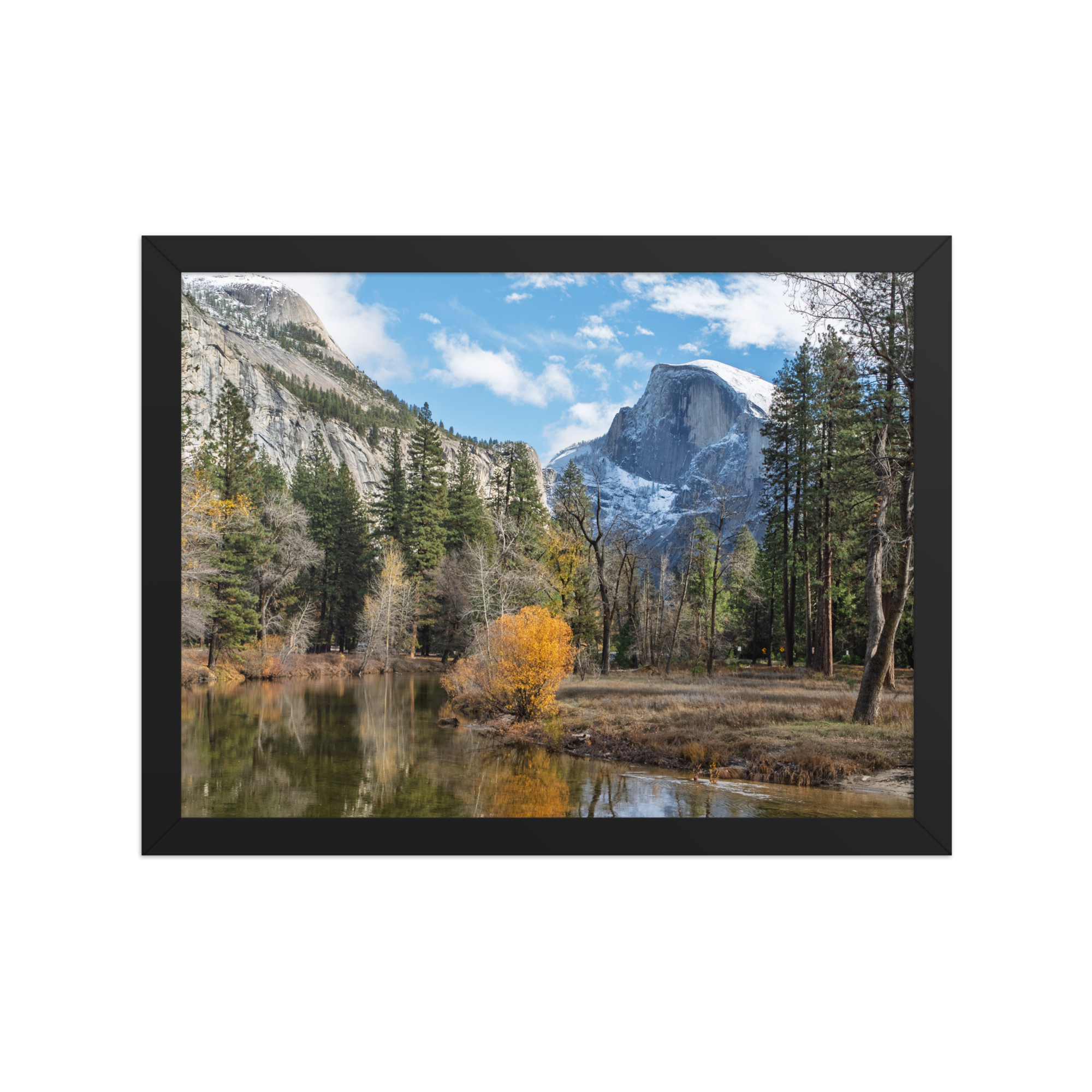 premium-luster-photo-paper-framed-poster-(in)-black-12x16-front-6a1db449747e5.png