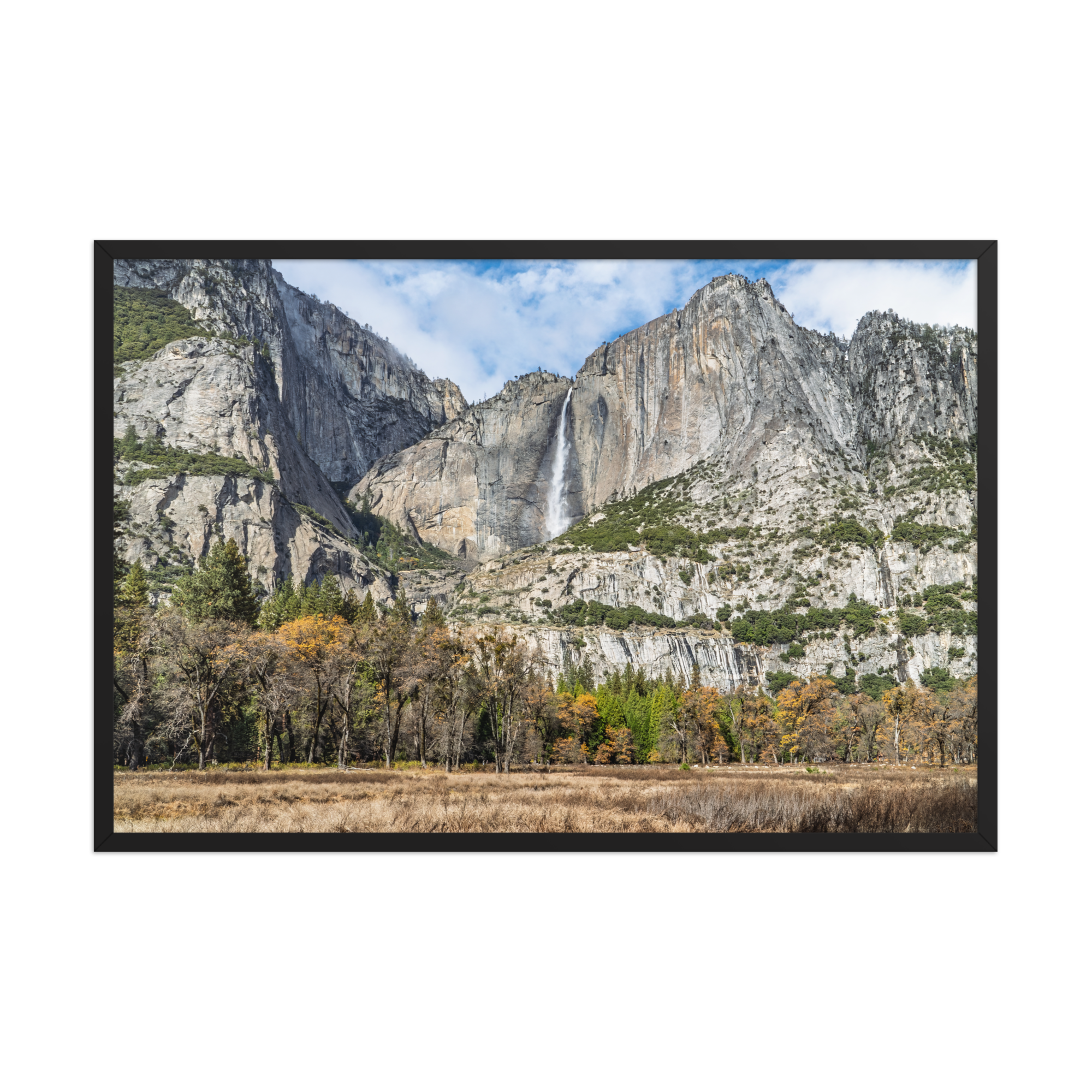 premium-luster-photo-paper-framed-poster-(in)-black-24x36-front-6a1db41f834b4.png