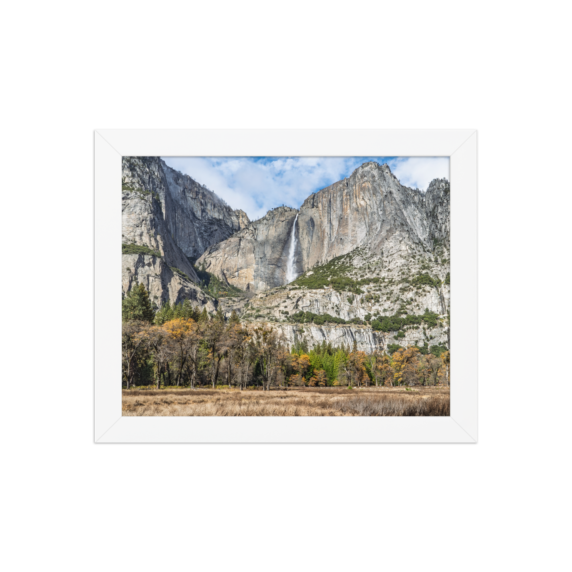 premium-luster-photo-paper-framed-poster-(in)-white-8x10-front-6a1db41f835c4.png