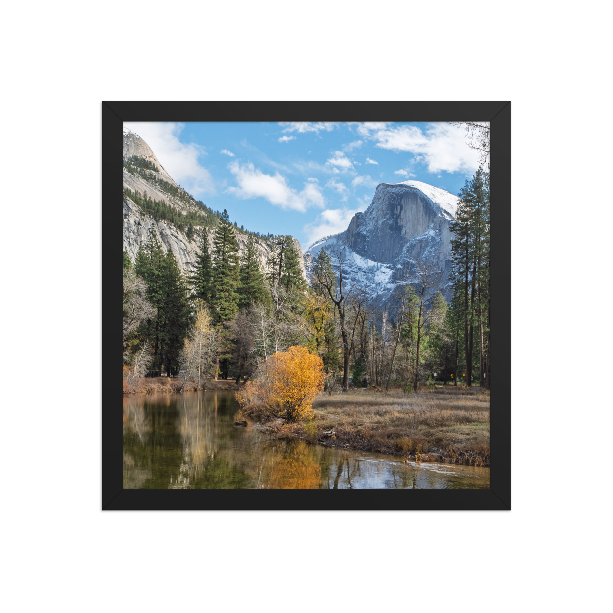 premium-luster-photo-paper-framed-poster-(in)-black-14x14-front-6a1db4497497a.png