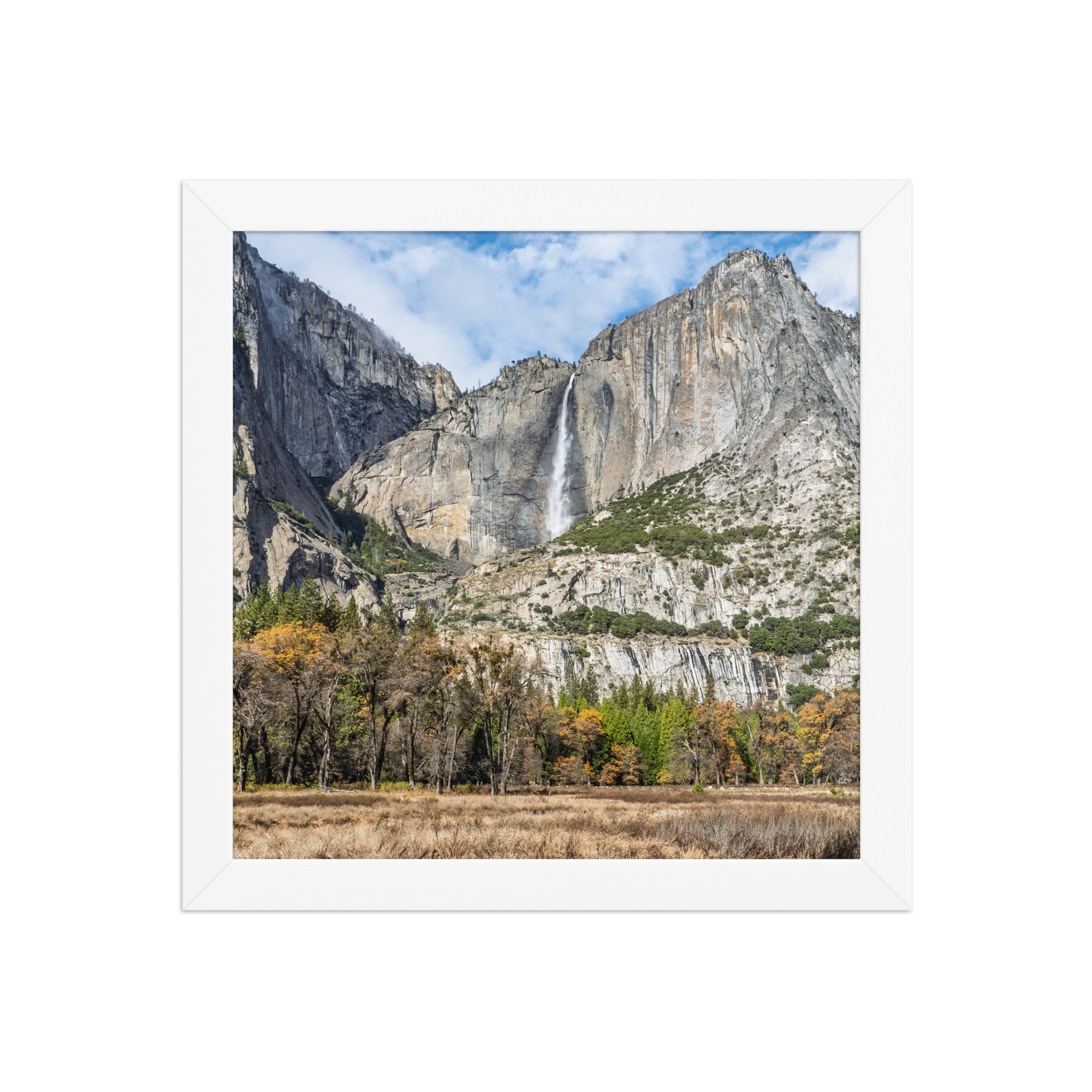 premium-luster-photo-paper-framed-poster-(in)-white-10x10-front-6a1db41f836c7.png