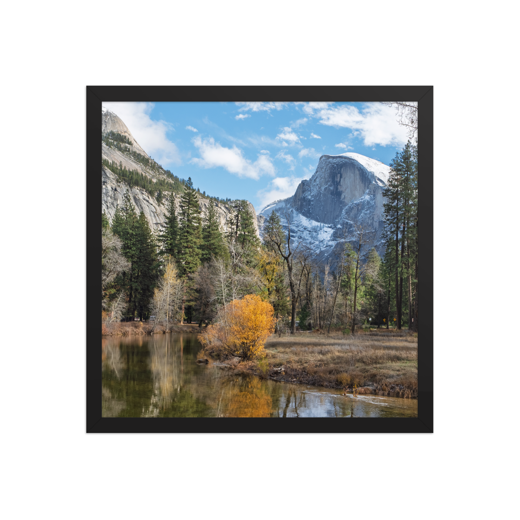 premium-luster-photo-paper-framed-poster-(in)-black-16x16-front-6a1db44974a14.png