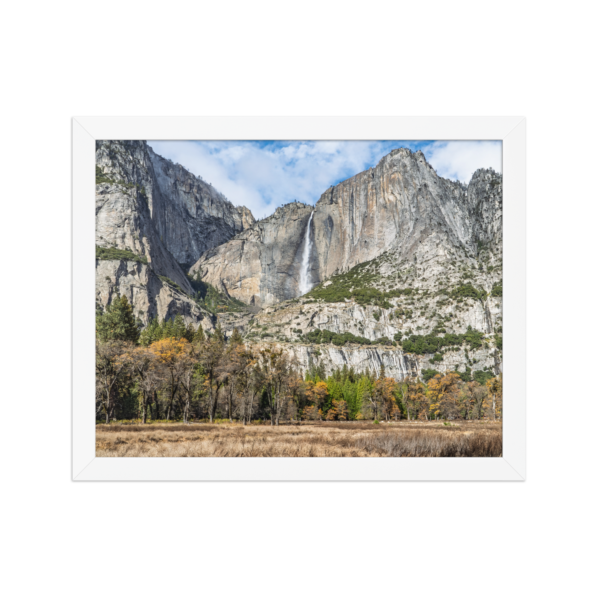 premium-luster-photo-paper-framed-poster-(in)-white-11x14-front-6a1db41f837ba.png