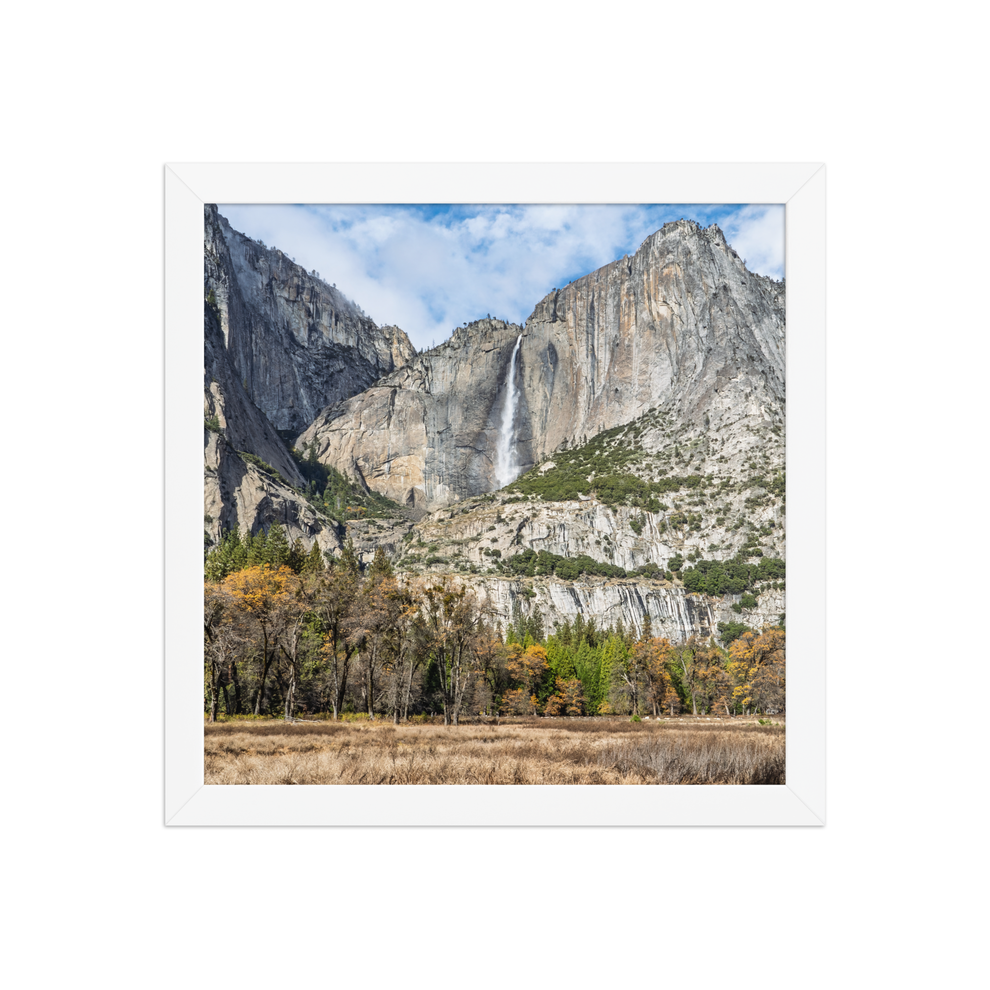 premium-luster-photo-paper-framed-poster-(in)-white-12x12-front-6a1db41f8388c.png