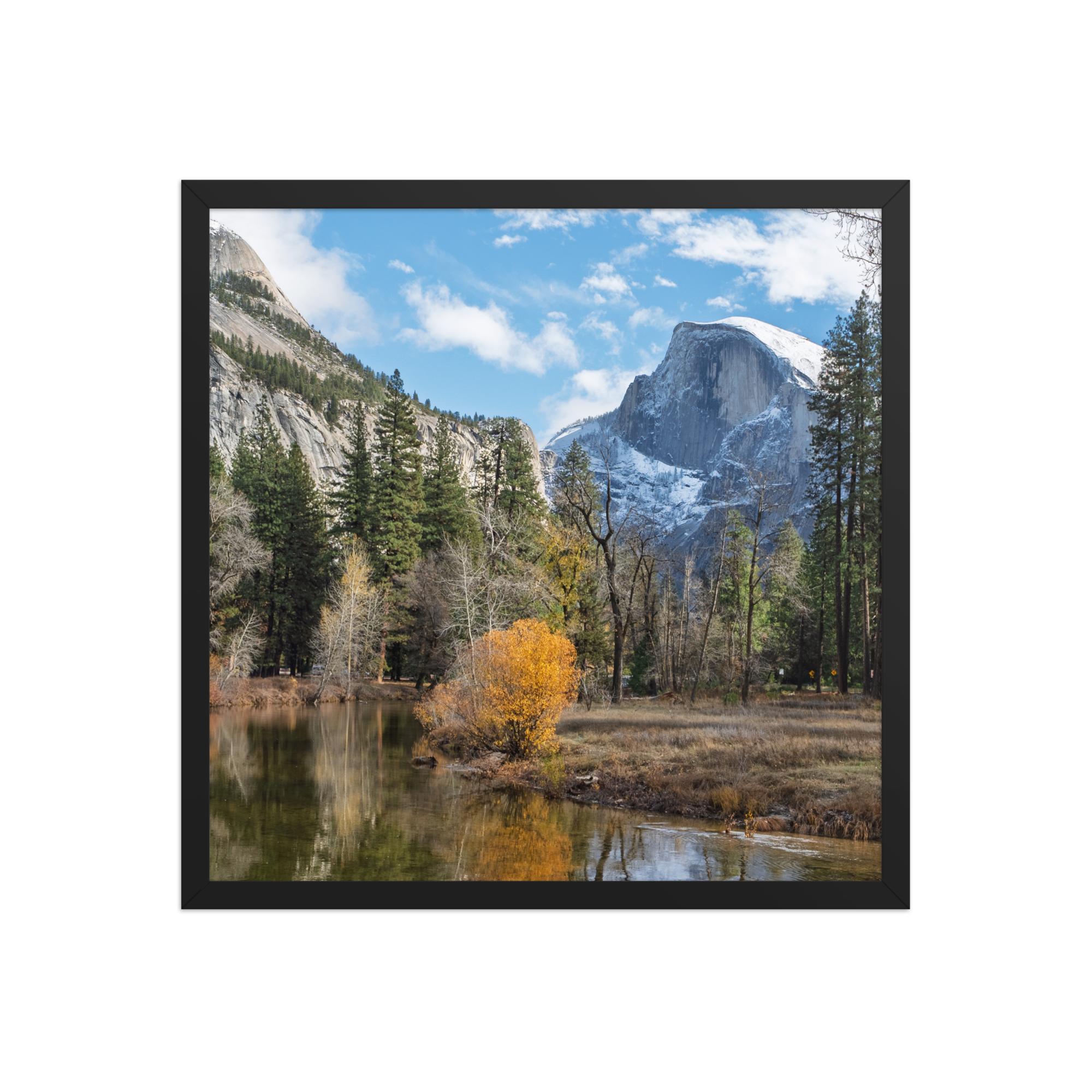 premium-luster-photo-paper-framed-poster-(in)-black-18x18-front-6a1db44974b39.png