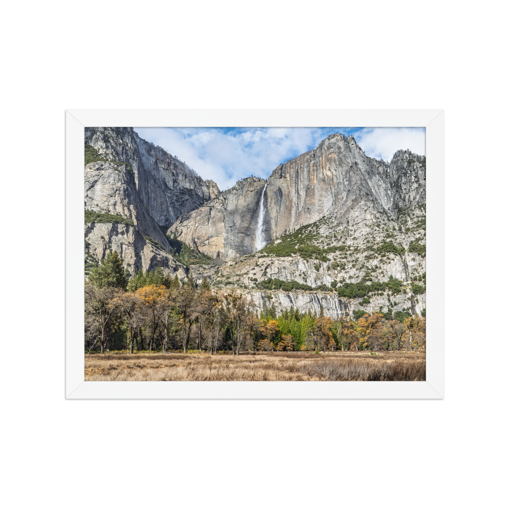 premium-luster-photo-paper-framed-poster-(in)-white-12x16-front-6a1db41f83927.png