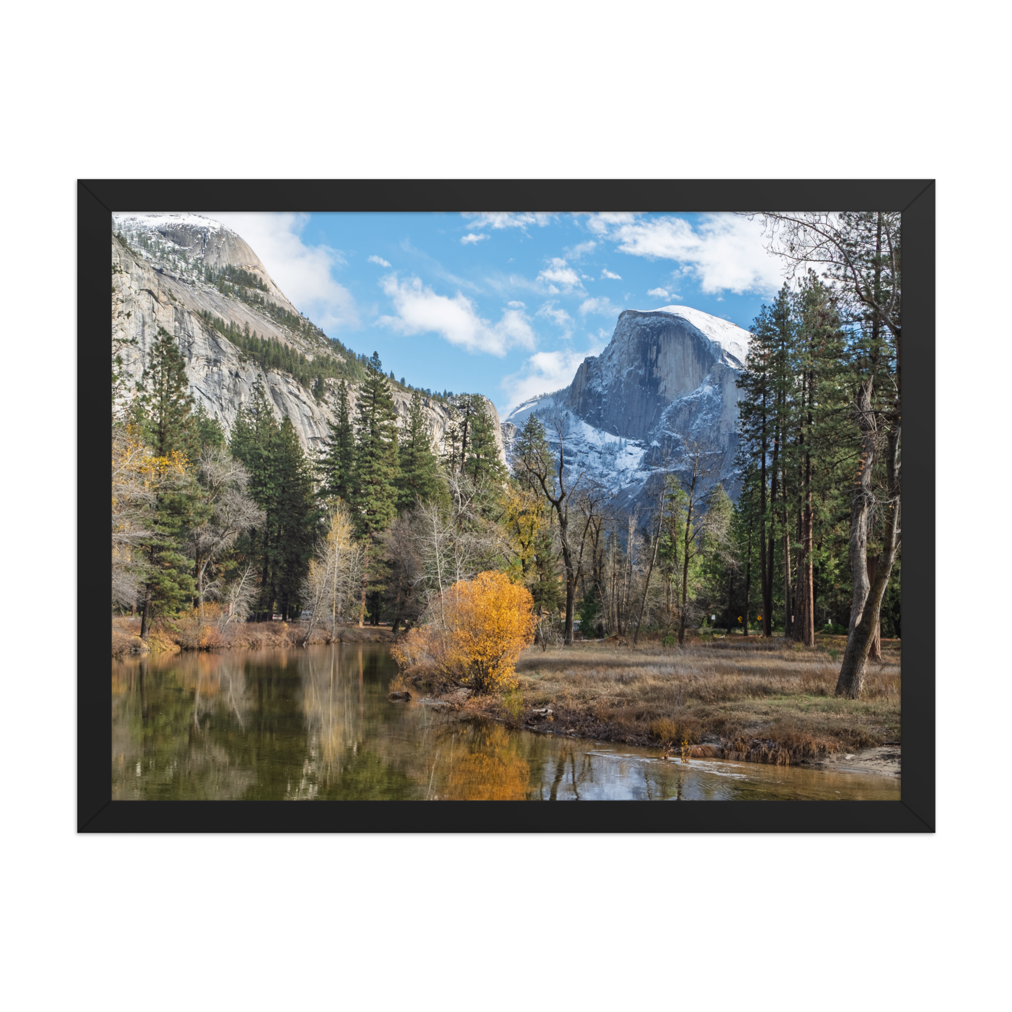 premium-luster-photo-paper-framed-poster-(in)-black-18x24-front-6a1db44974bc9.png