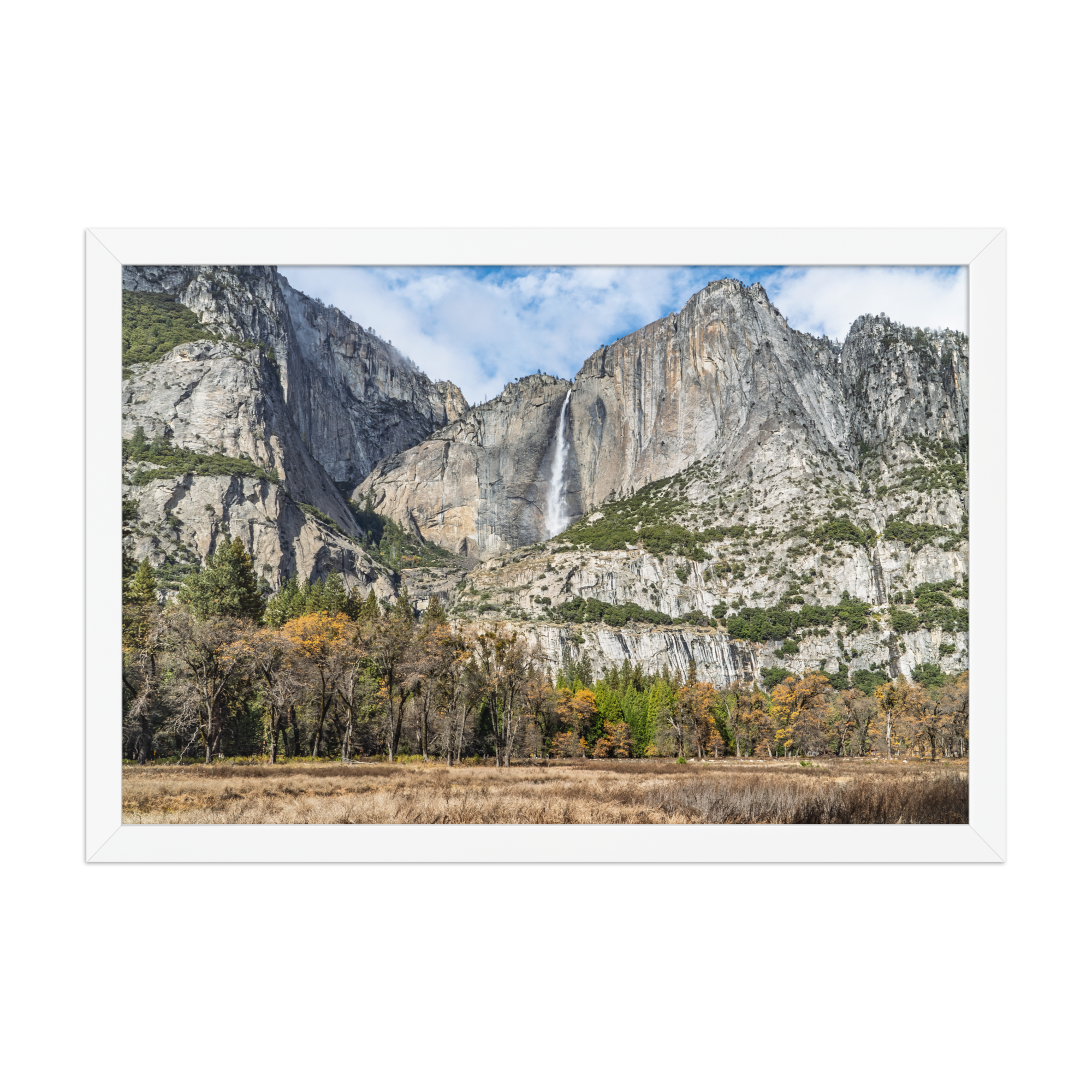 premium-luster-photo-paper-framed-poster-(in)-white-12x18-front-6a1db41f839cf.png