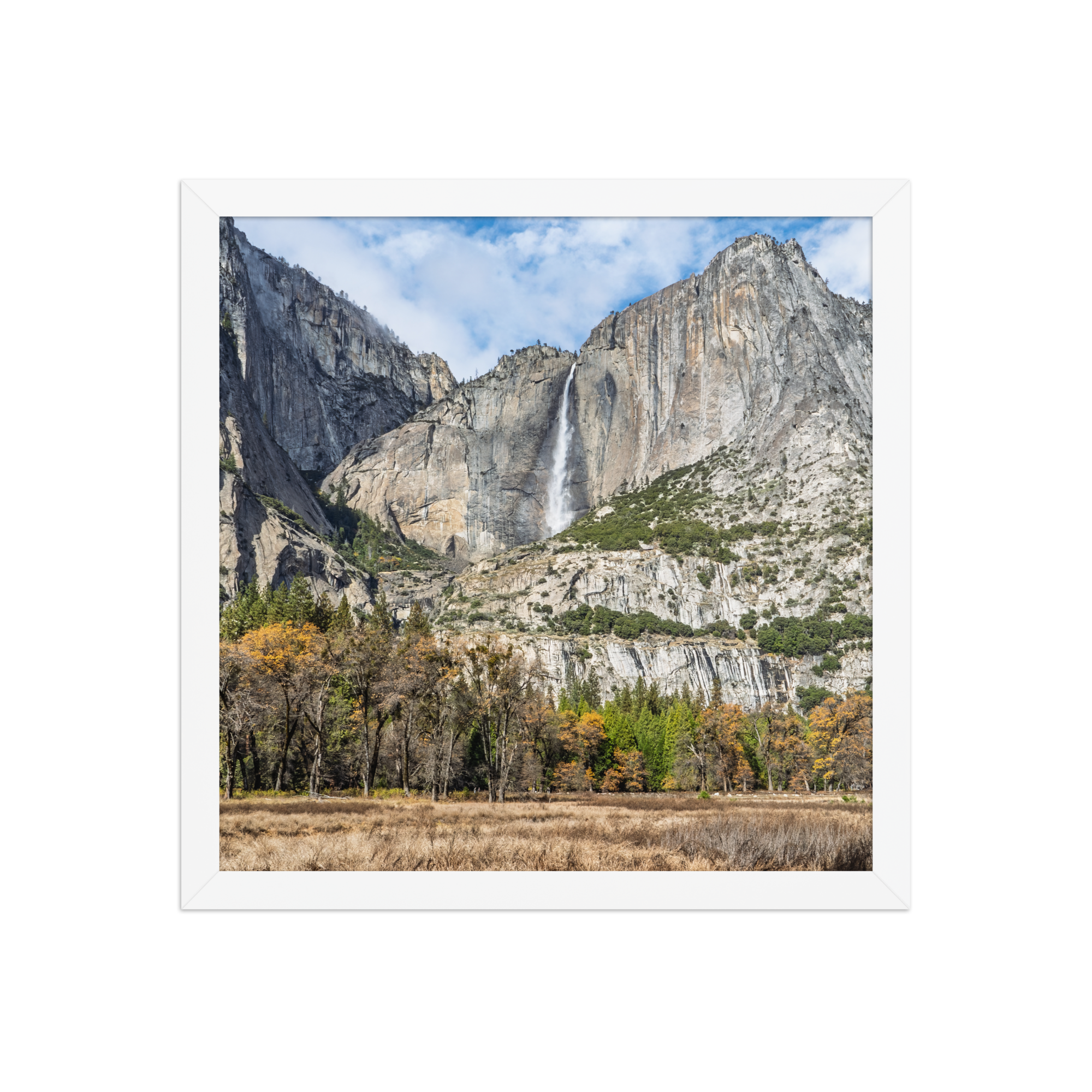 premium-luster-photo-paper-framed-poster-(in)-white-14x14-front-6a1db41f83ac0.png